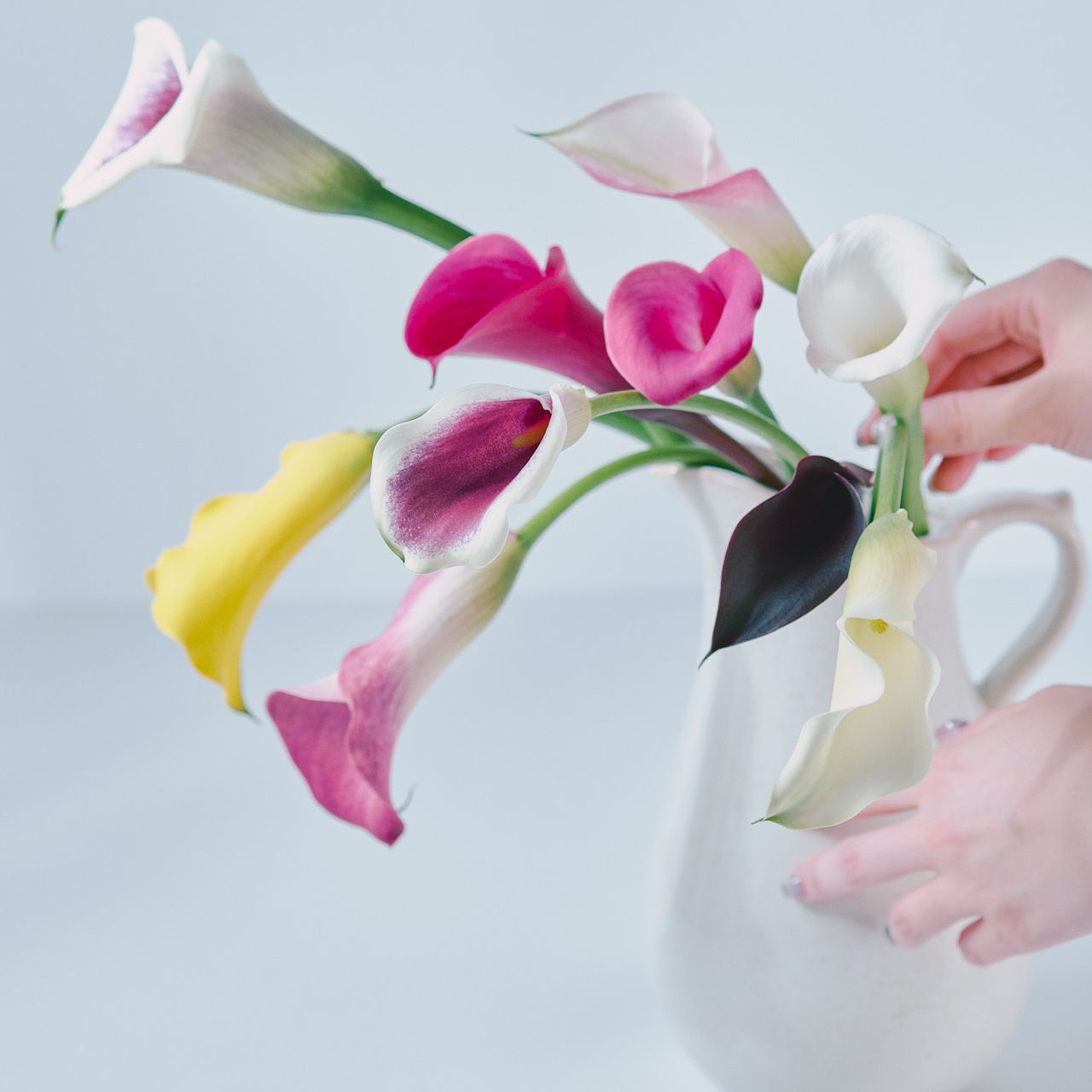 カラーの花 月田さんの森のカラー（7本）