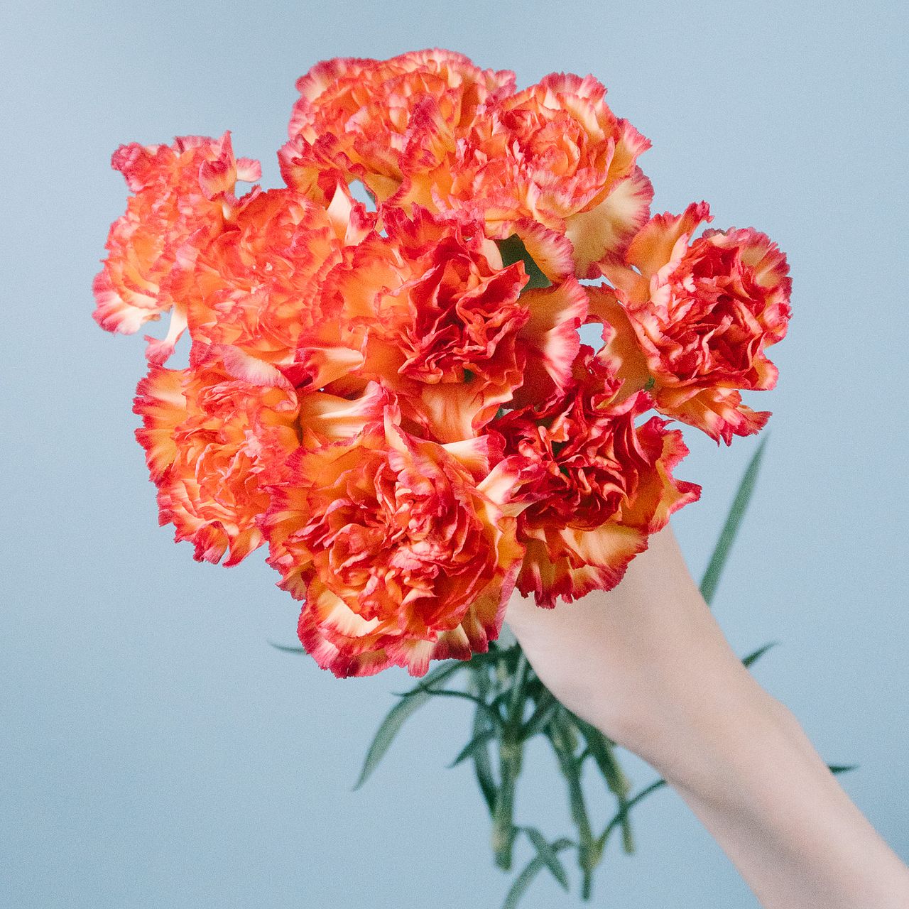 large_cec55b96-ad83-47e8-9e92-