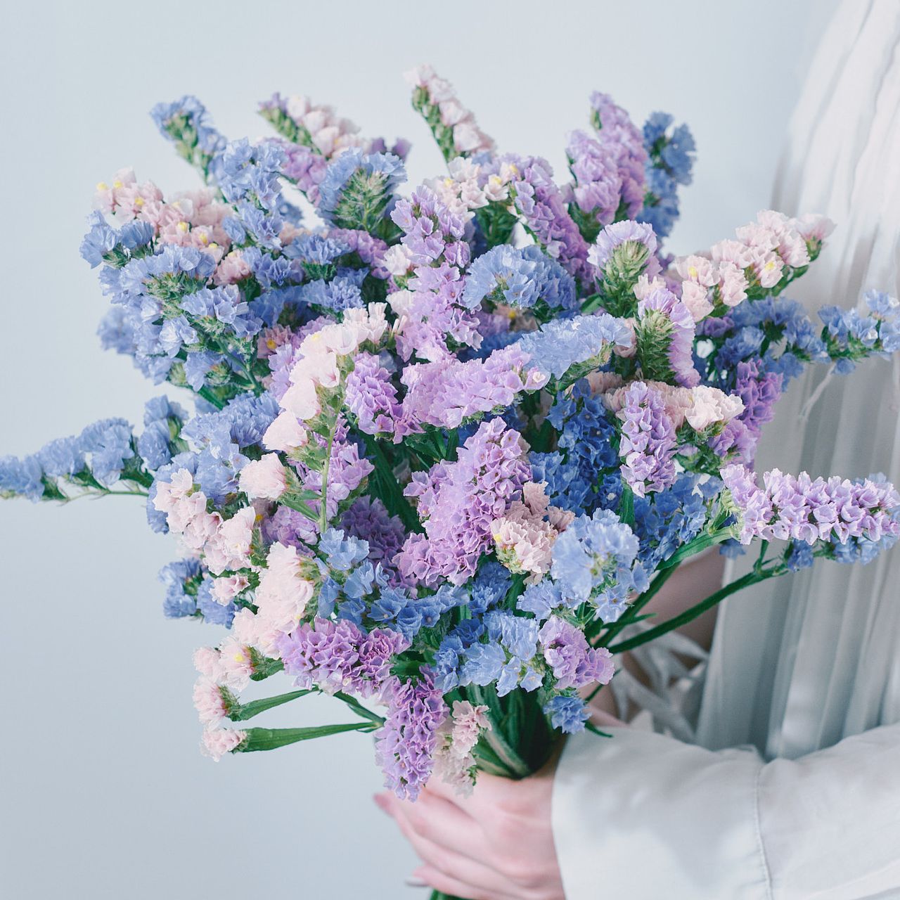 産直】北海道のおまかせスターチス（ブルー×パープル×ベージュ）