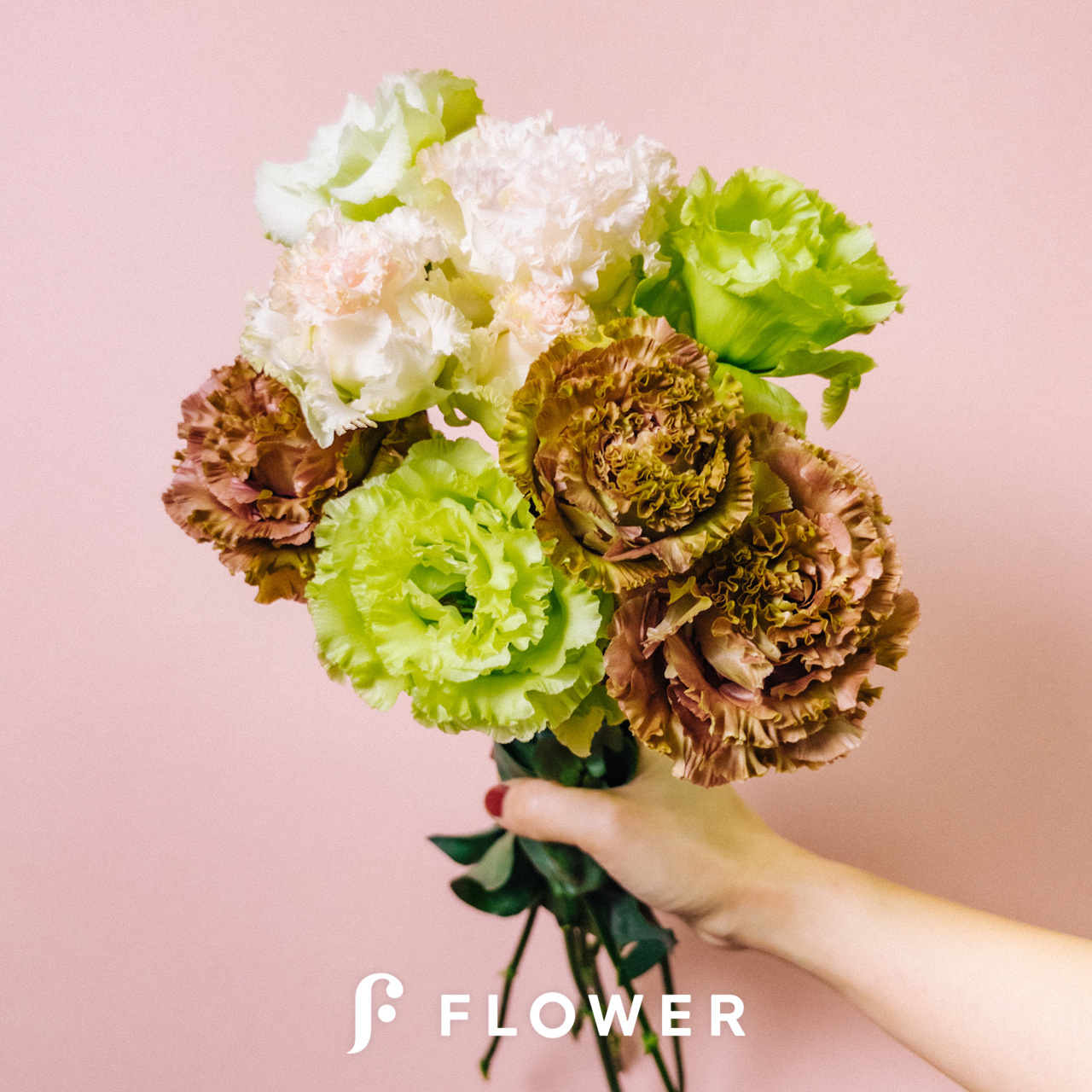 長野県のトルコキキョウ