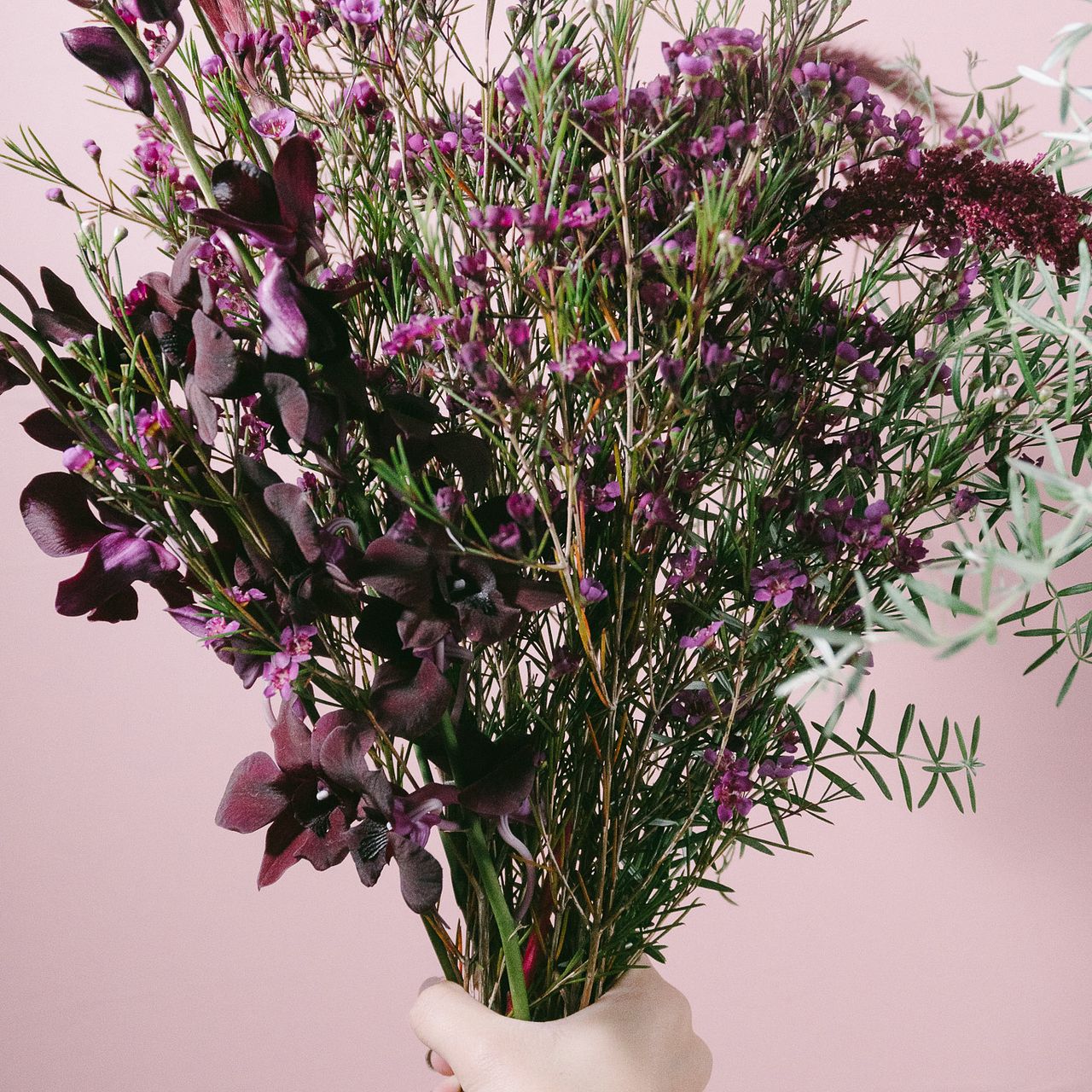 ブラックキャット