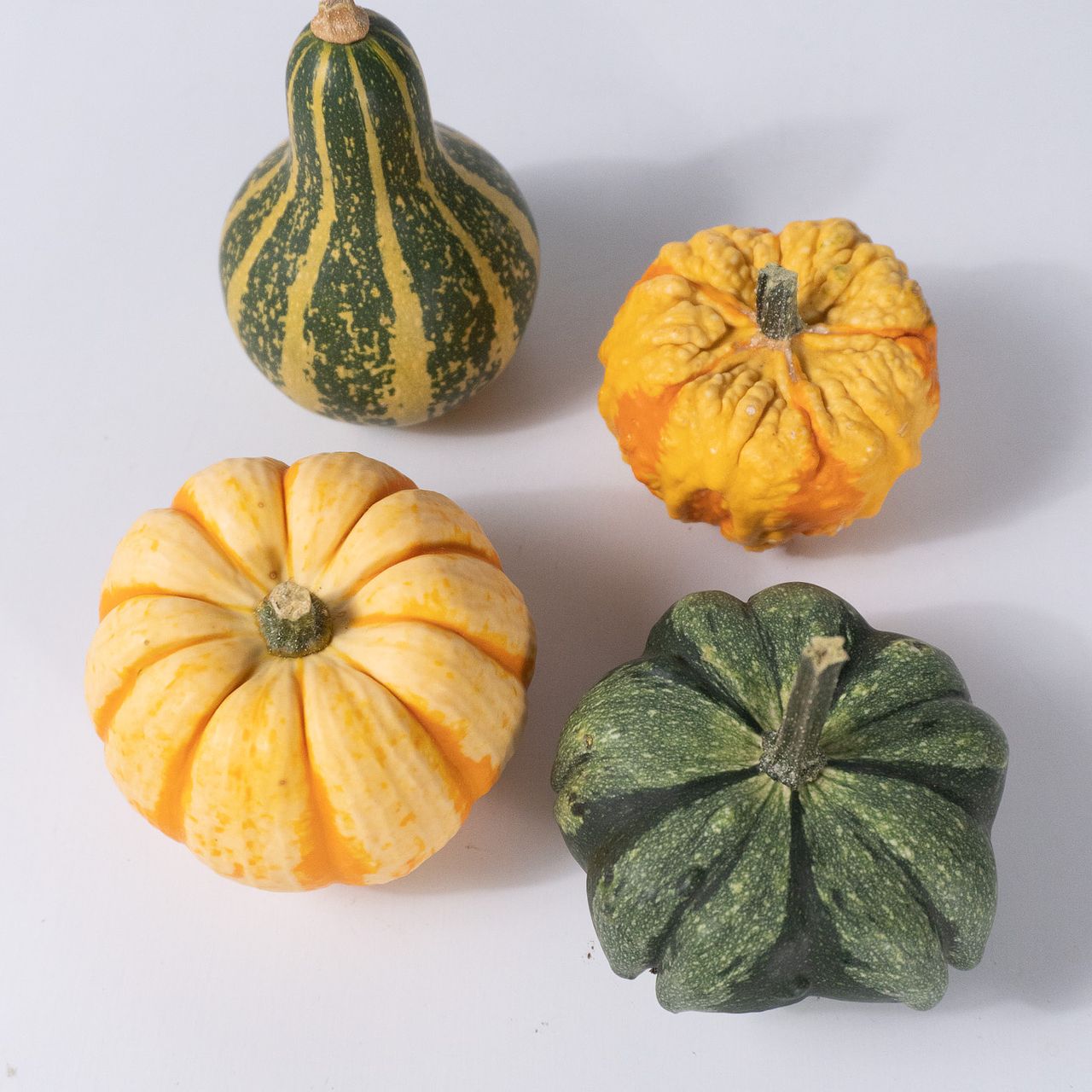 インテリアパンプキン（4個）