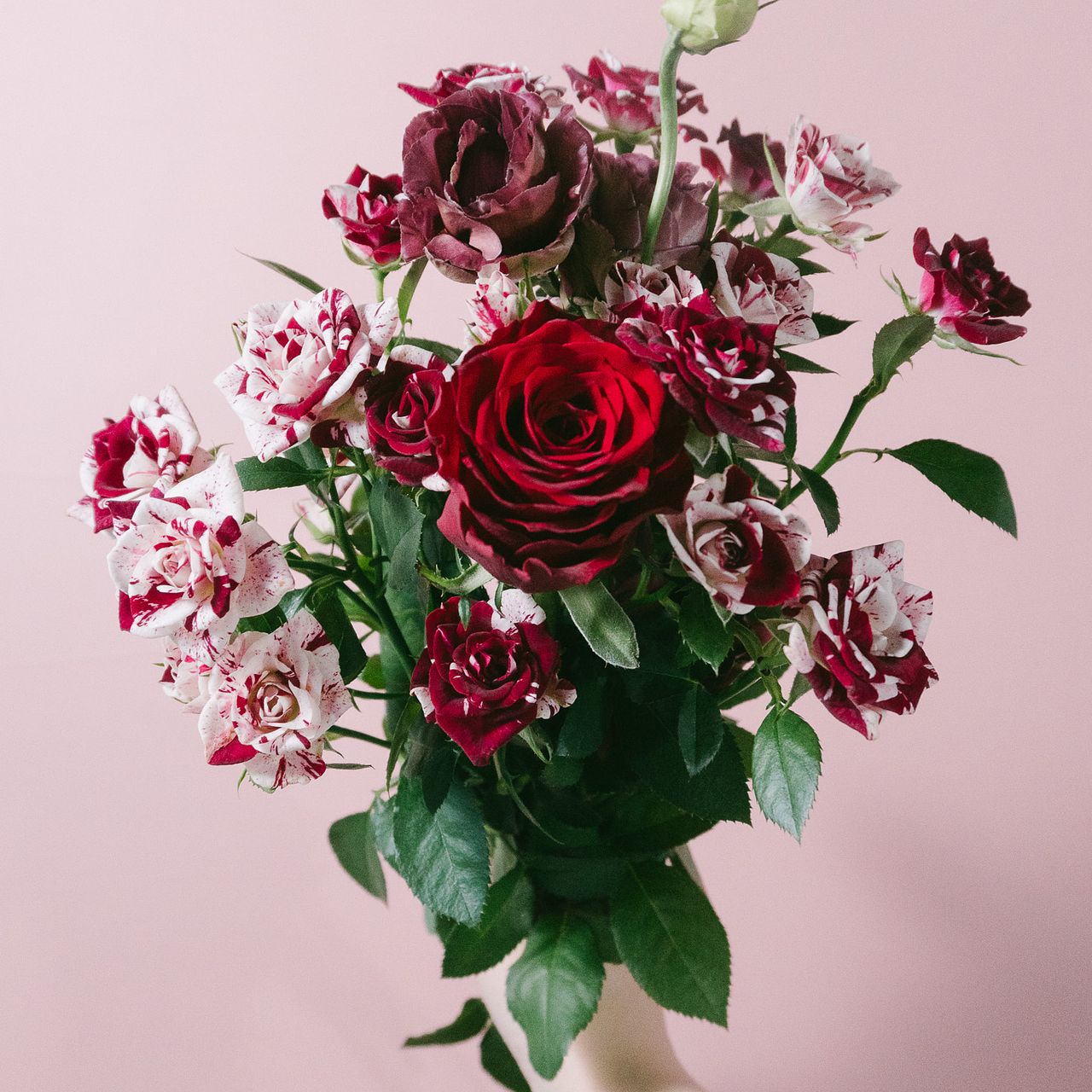 アンティークカラー バラ(ᵔᴥᵔ)かわいいお庭♡シャビーなガーデン