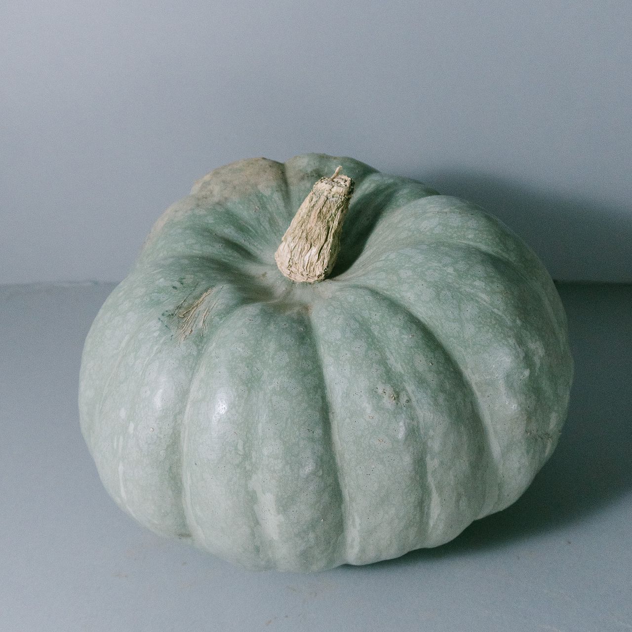 large_8fabcb15-b9bb-478f-8a05-