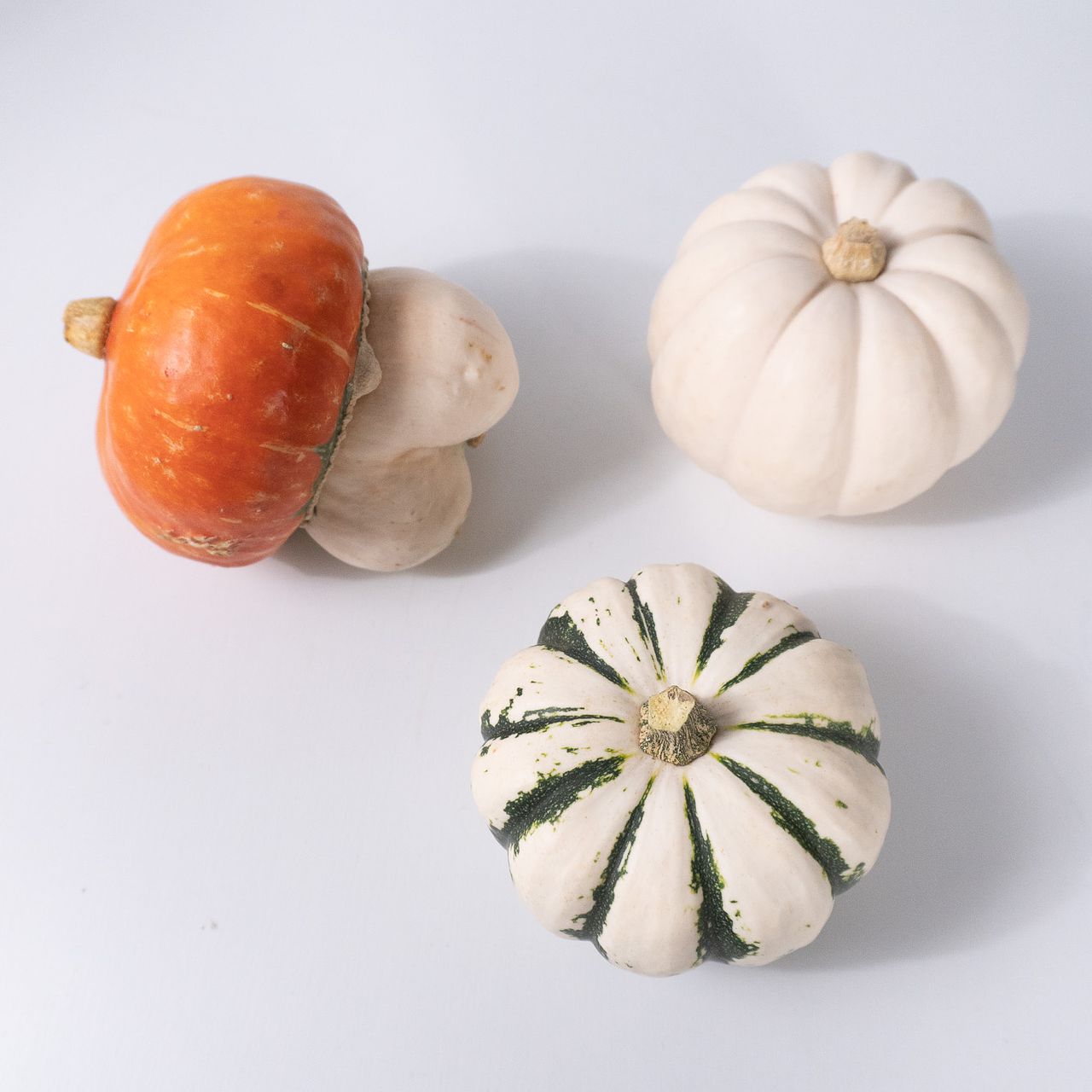 レアかぼちゃMIX（3個）