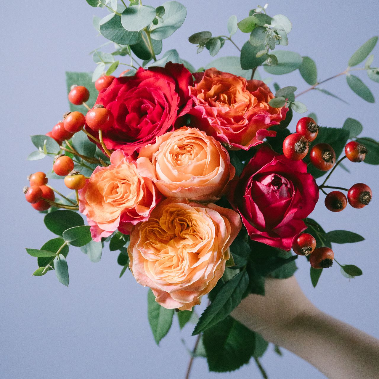 Autumn Rose
