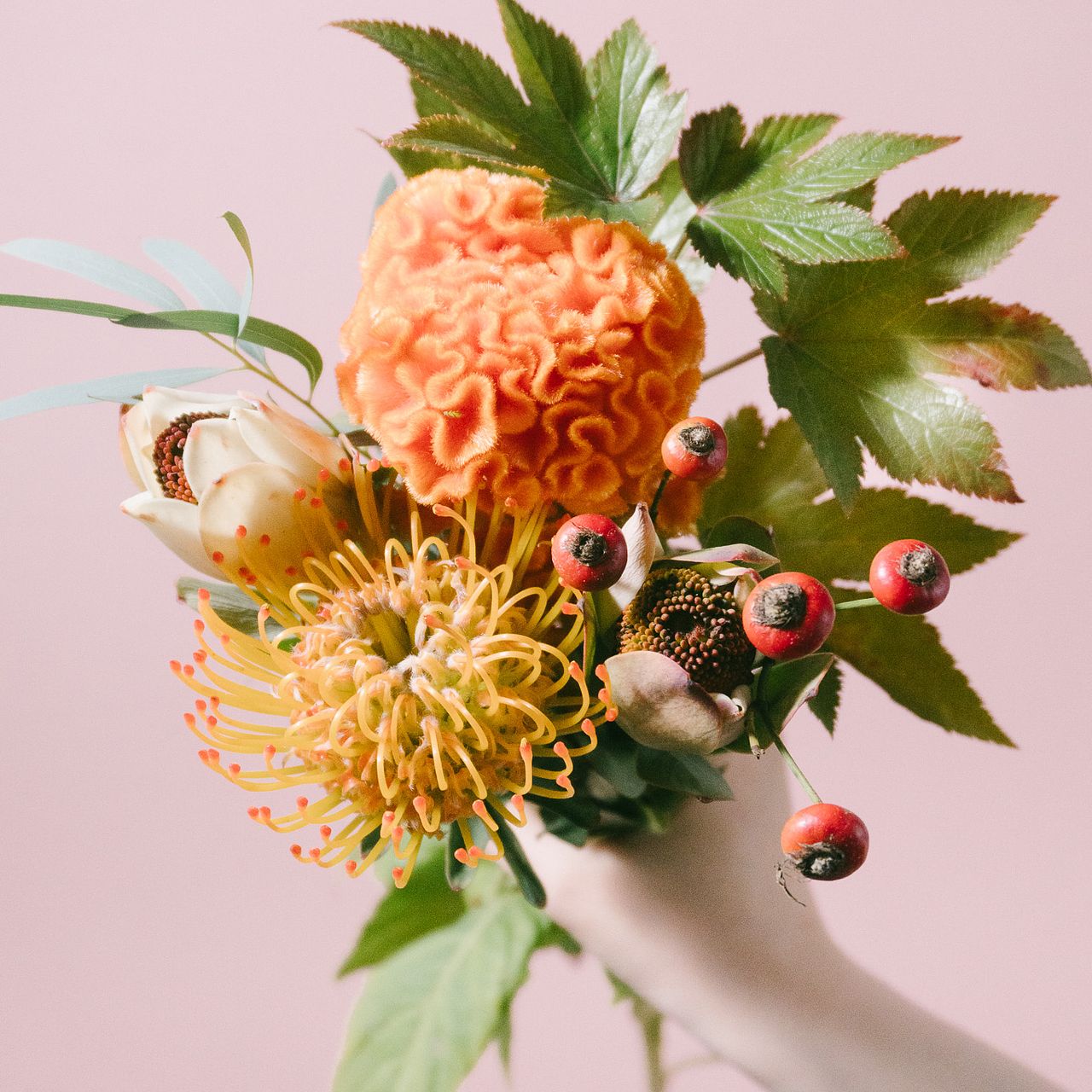 large_e6c6fb9a-ea7d-4dd5-ba93-