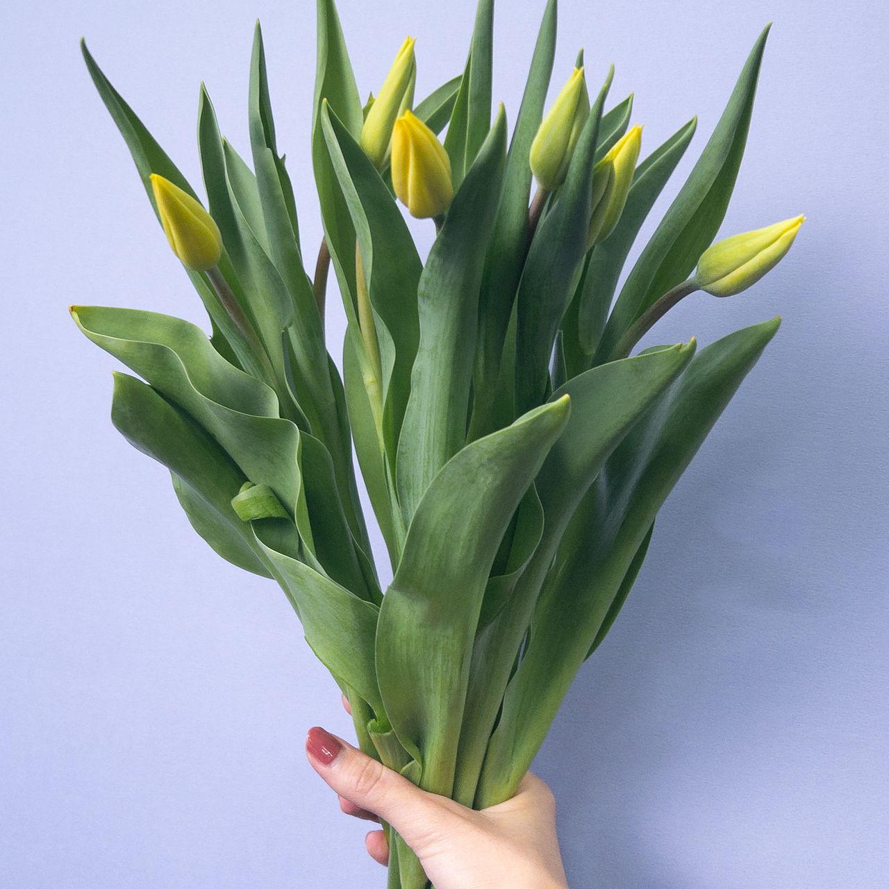 スワロフスキー　花　チューリップ　黄　大 スワロフスキー 花 チューリップ 黄 大 - メルカリ