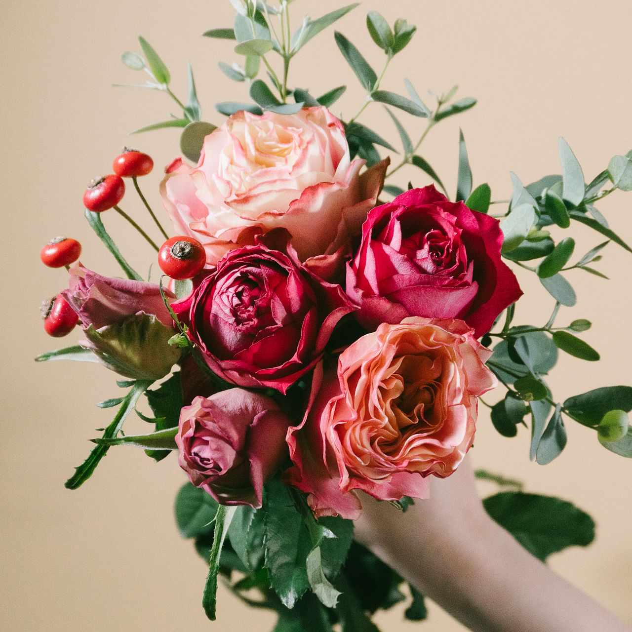 Autumn Rose