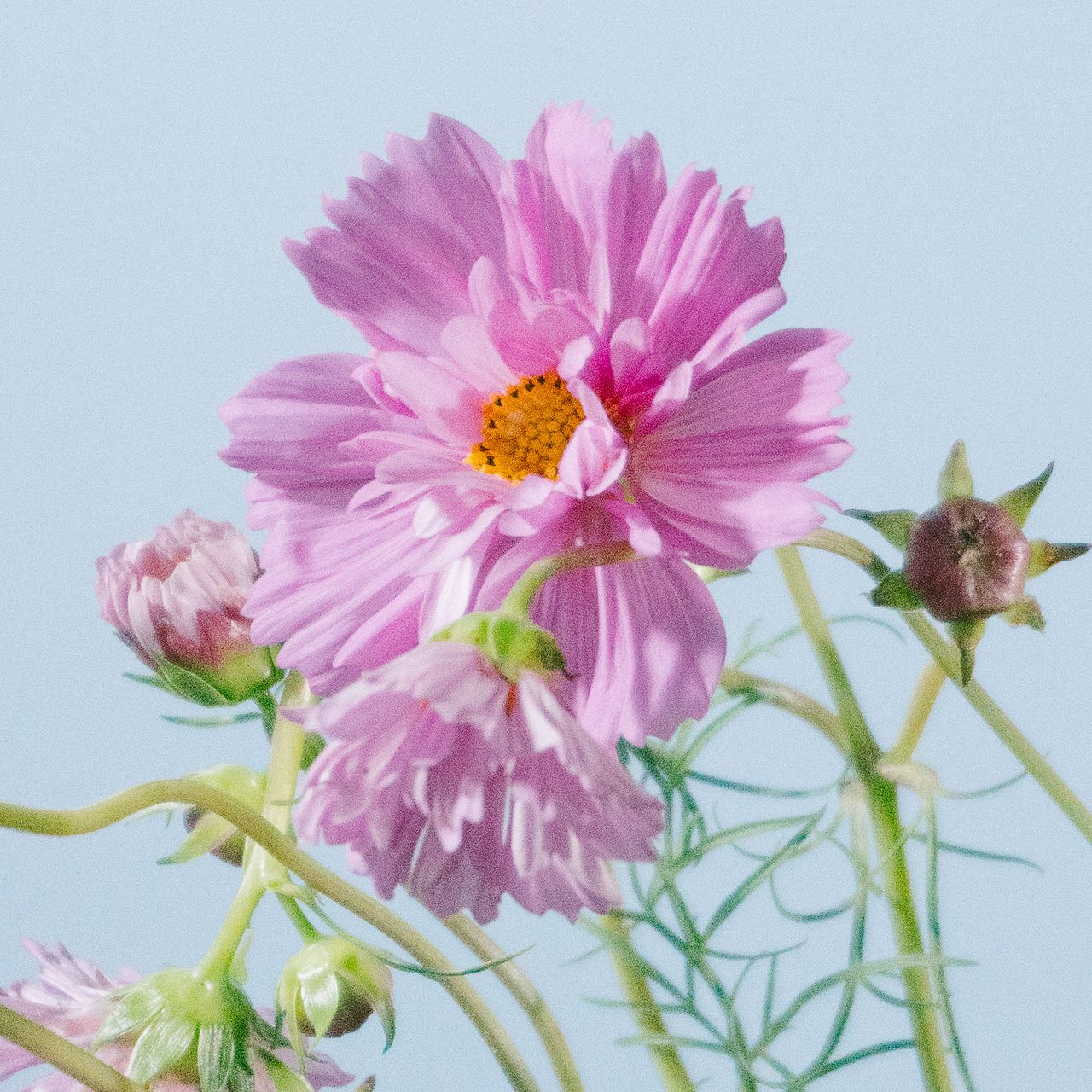 large_a8b4a6d1-def7-4805-a4af-