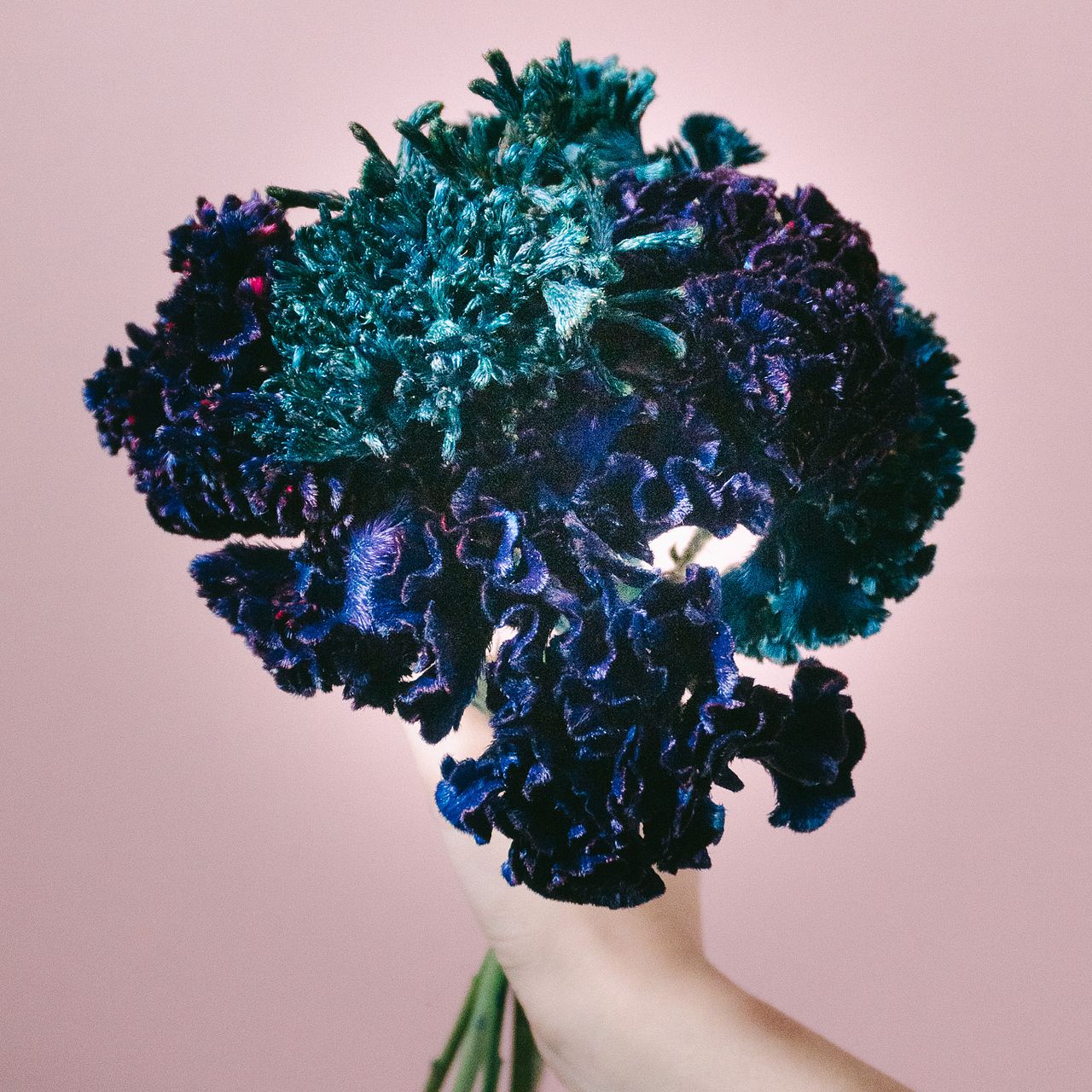 large_e0020d7e-2289-4495-8837-