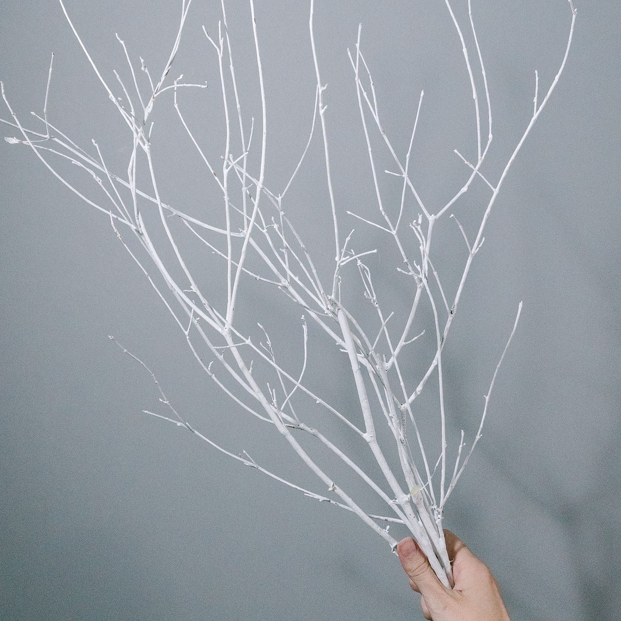 large_e18b3e80-93b0-4208-bcfd-