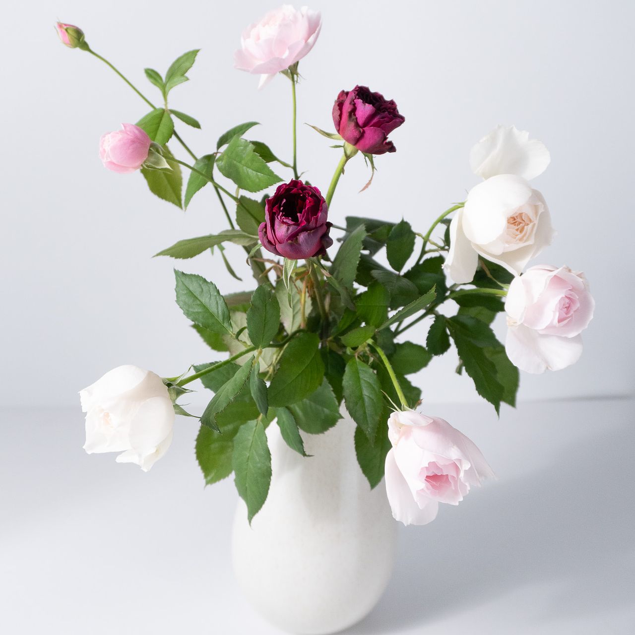 和薔薇花咲株 和花 waka – WABARA online store