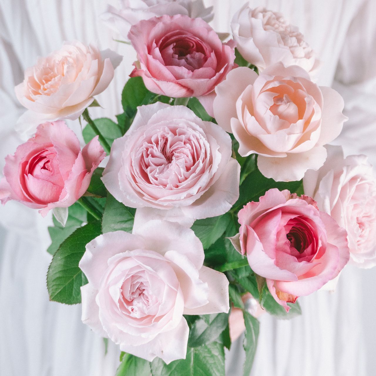 large_19e58c42-4e9e-4115-96a0-