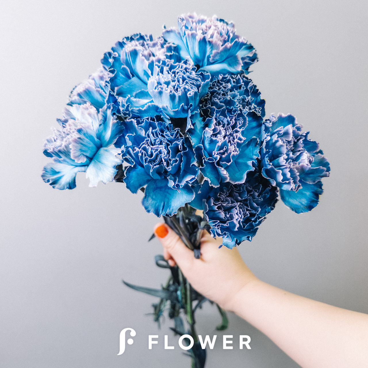 青いカーネーション