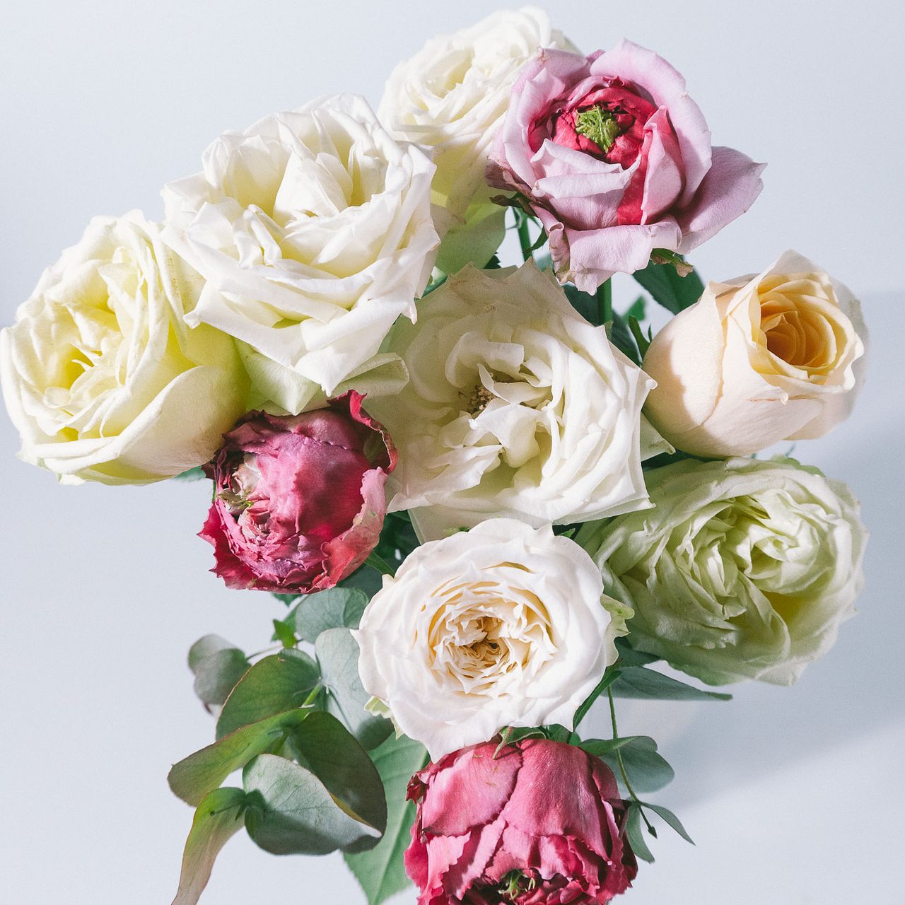 限定販売】新品種ローズのスパイラルブーケ