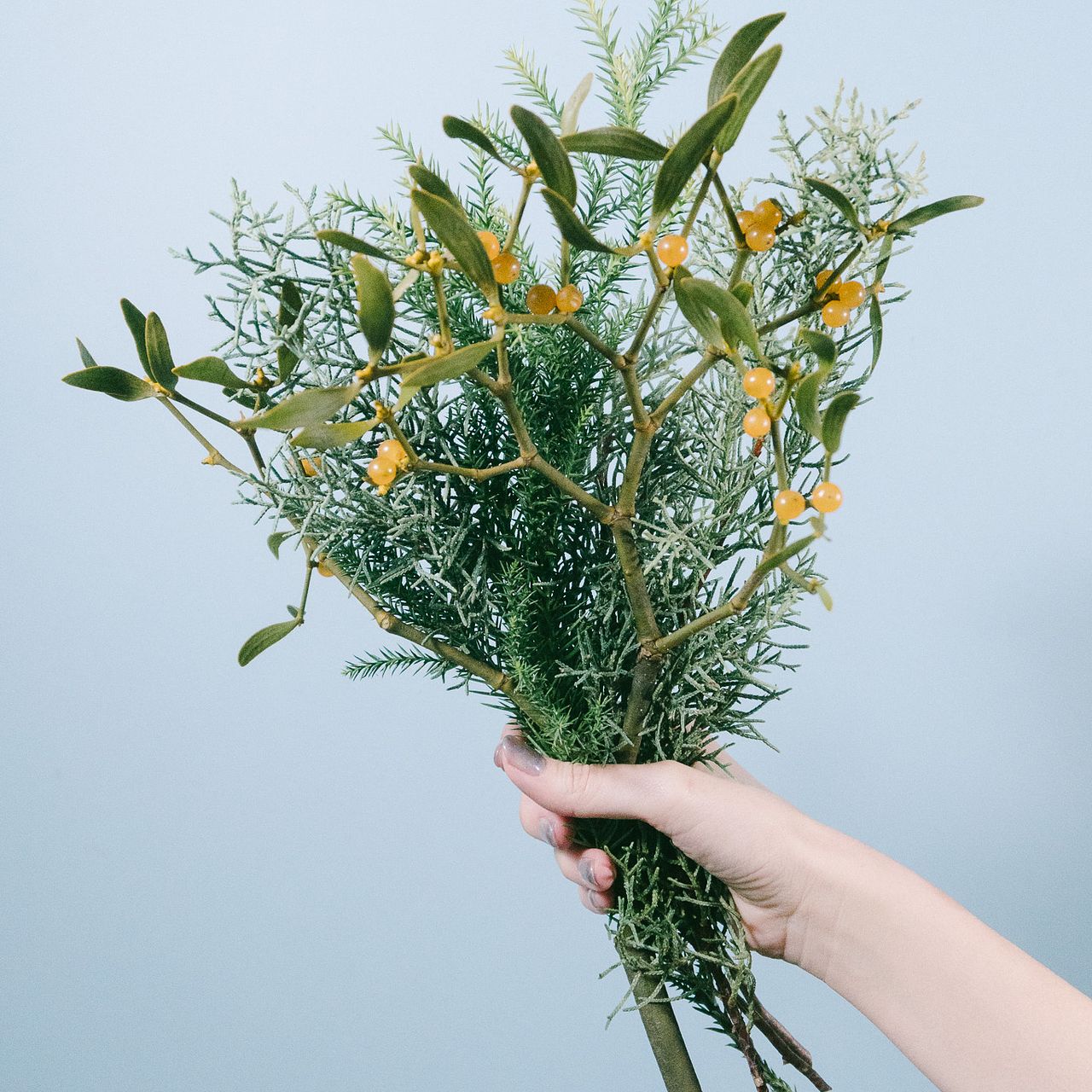 large_b0876c43-86ad-400f-87d5-