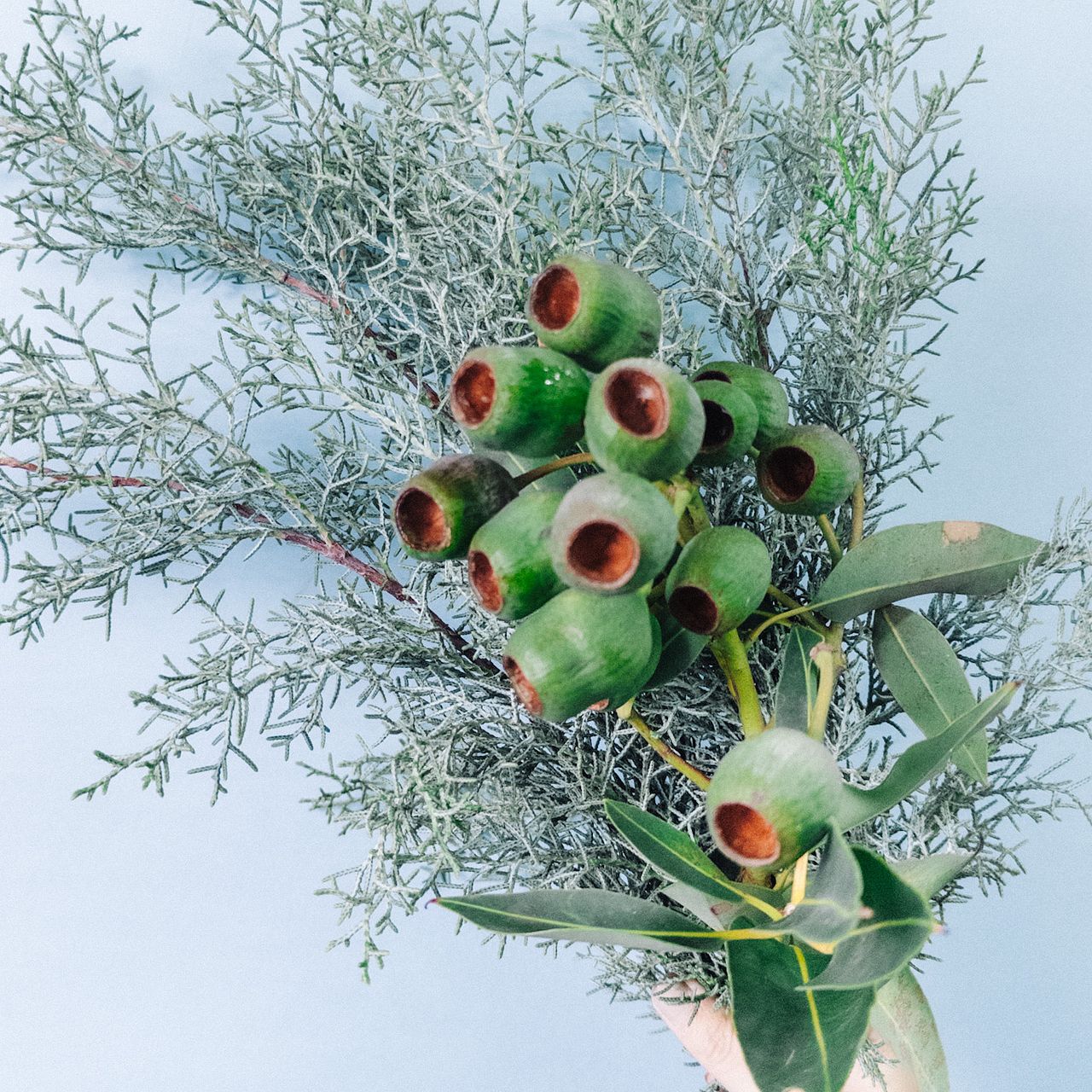 large_7a457872-cd0a-48bd-86d4-