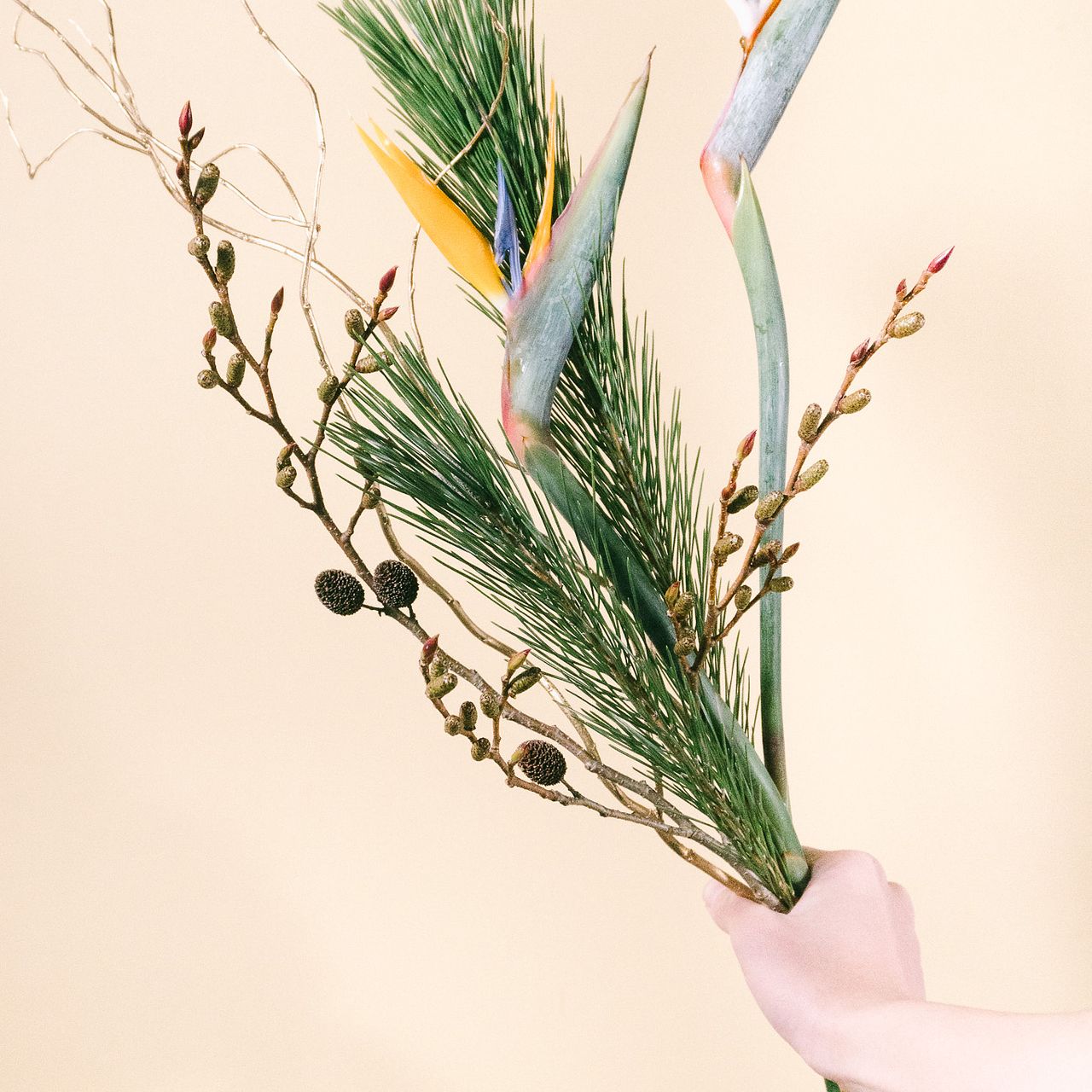 極楽鳥花の迎春ブランチミックス（ロングサイズ）