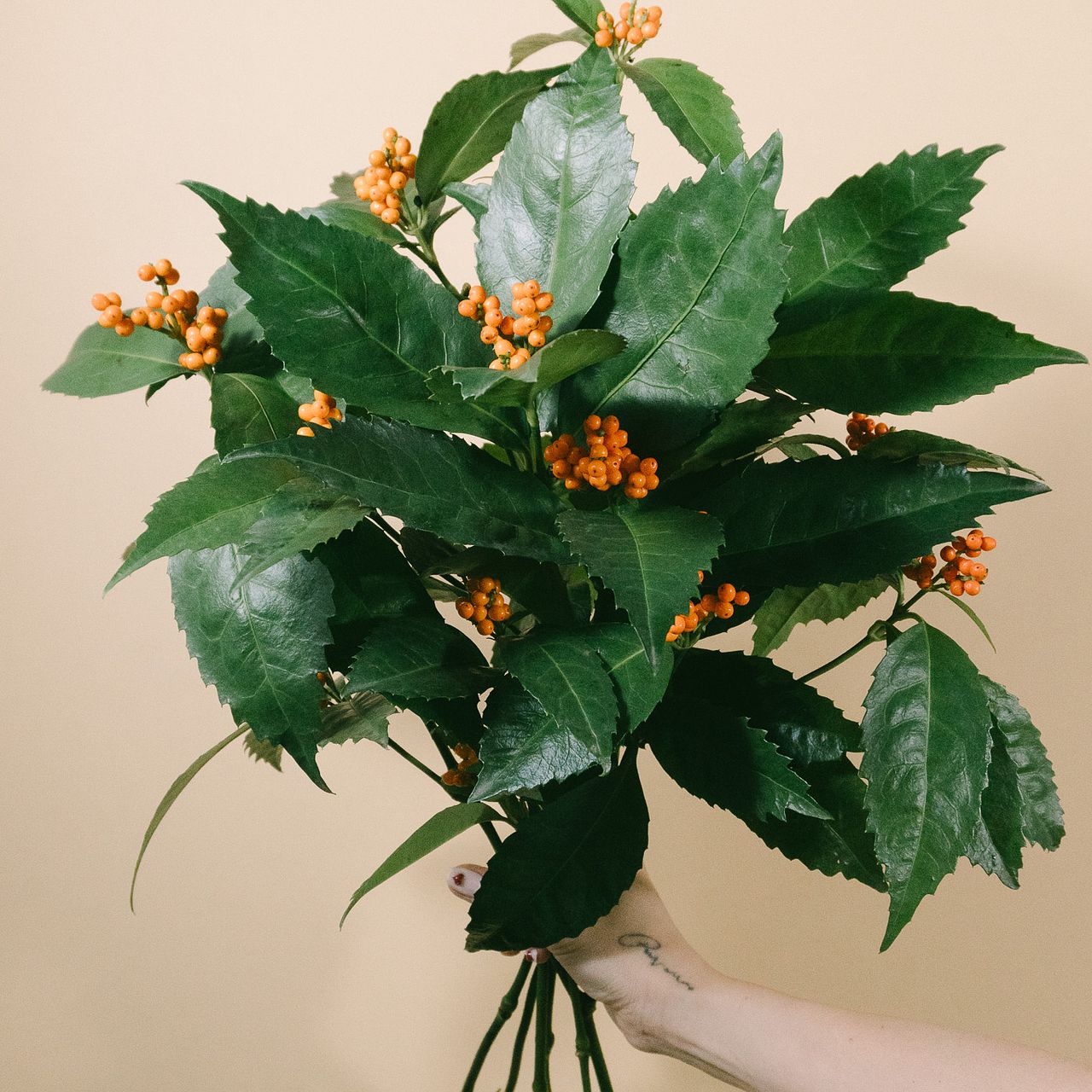 お正月の枝もの「オレンジ色の千両」