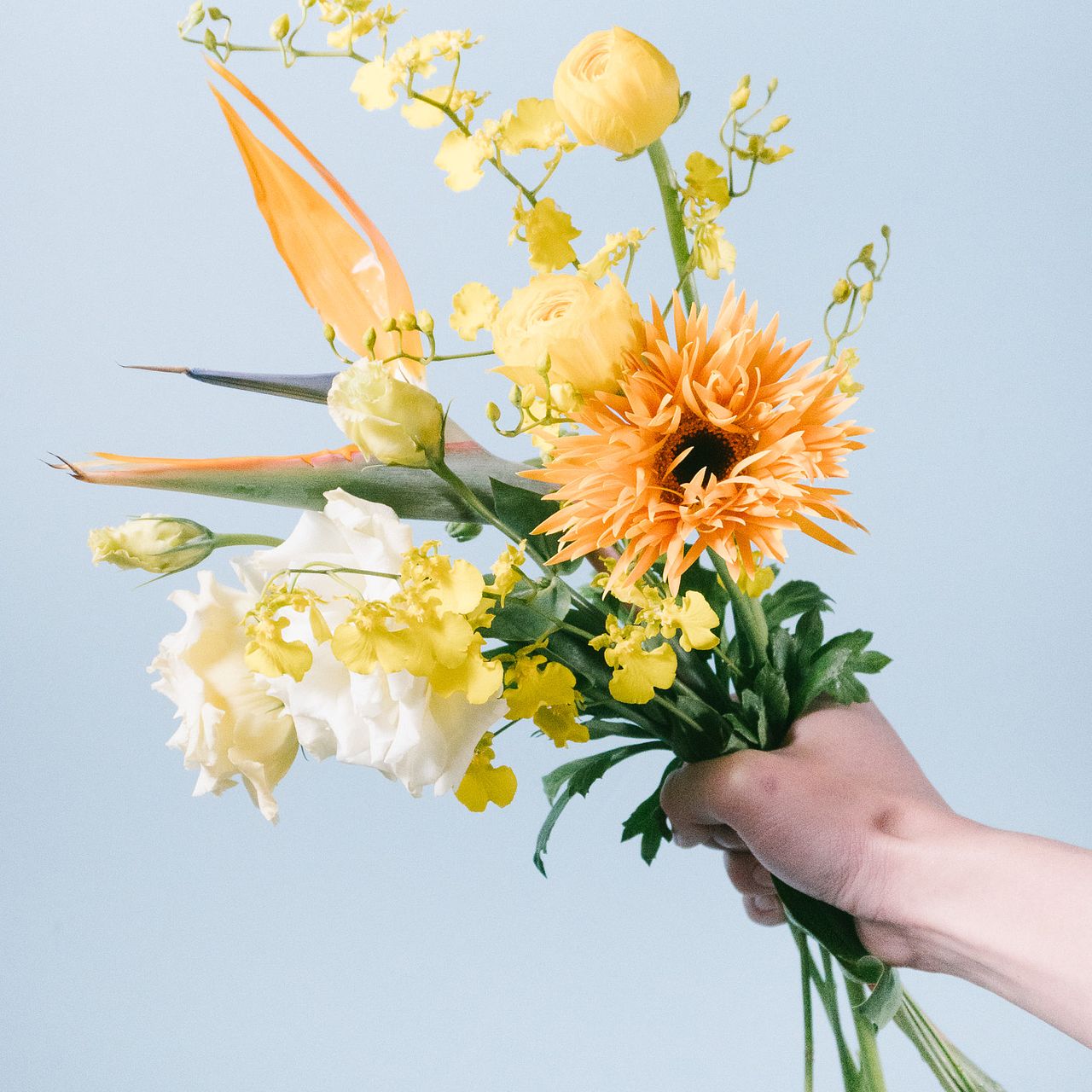 large_97765225-64be-40e7-b2cd-