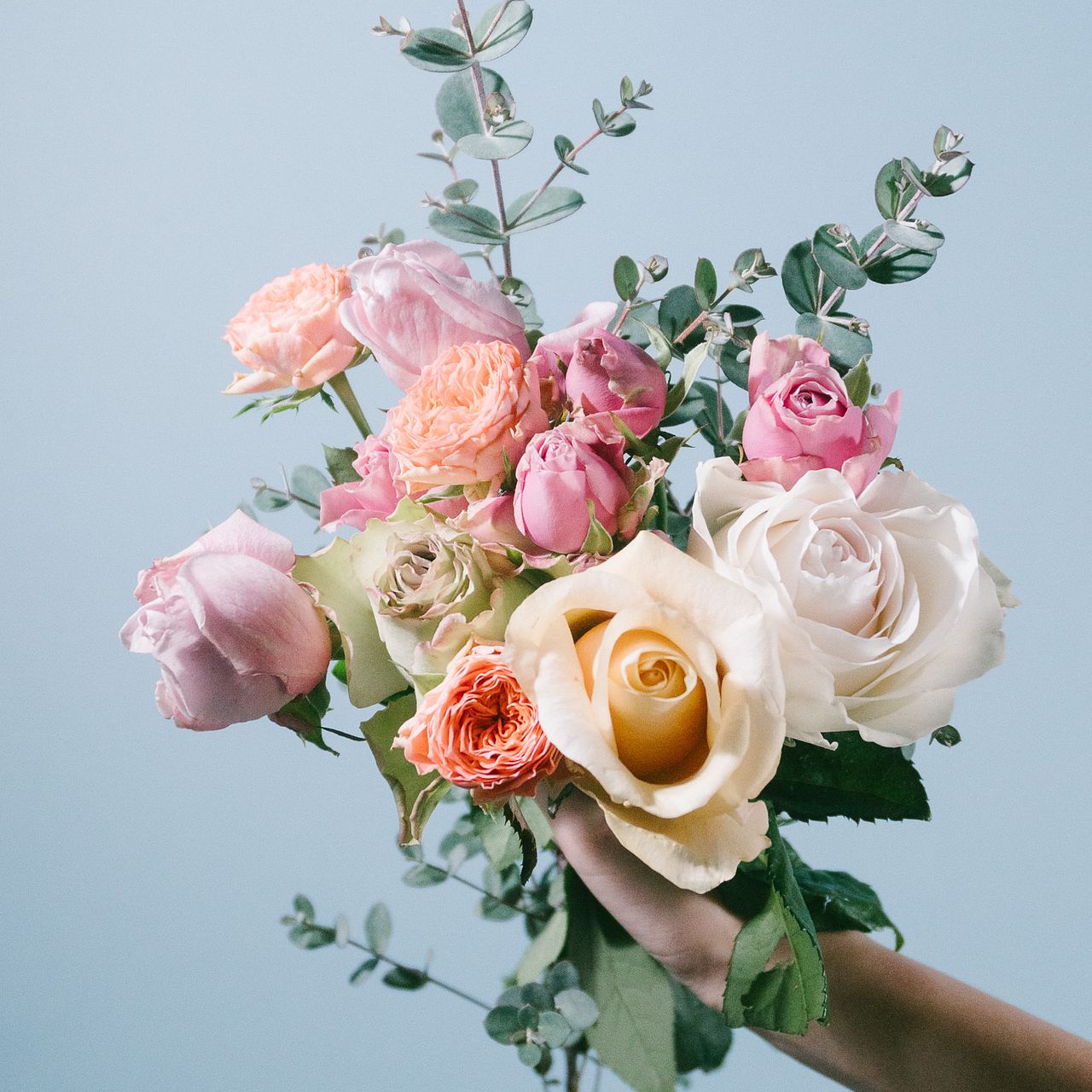 希少品種ローズを集めて