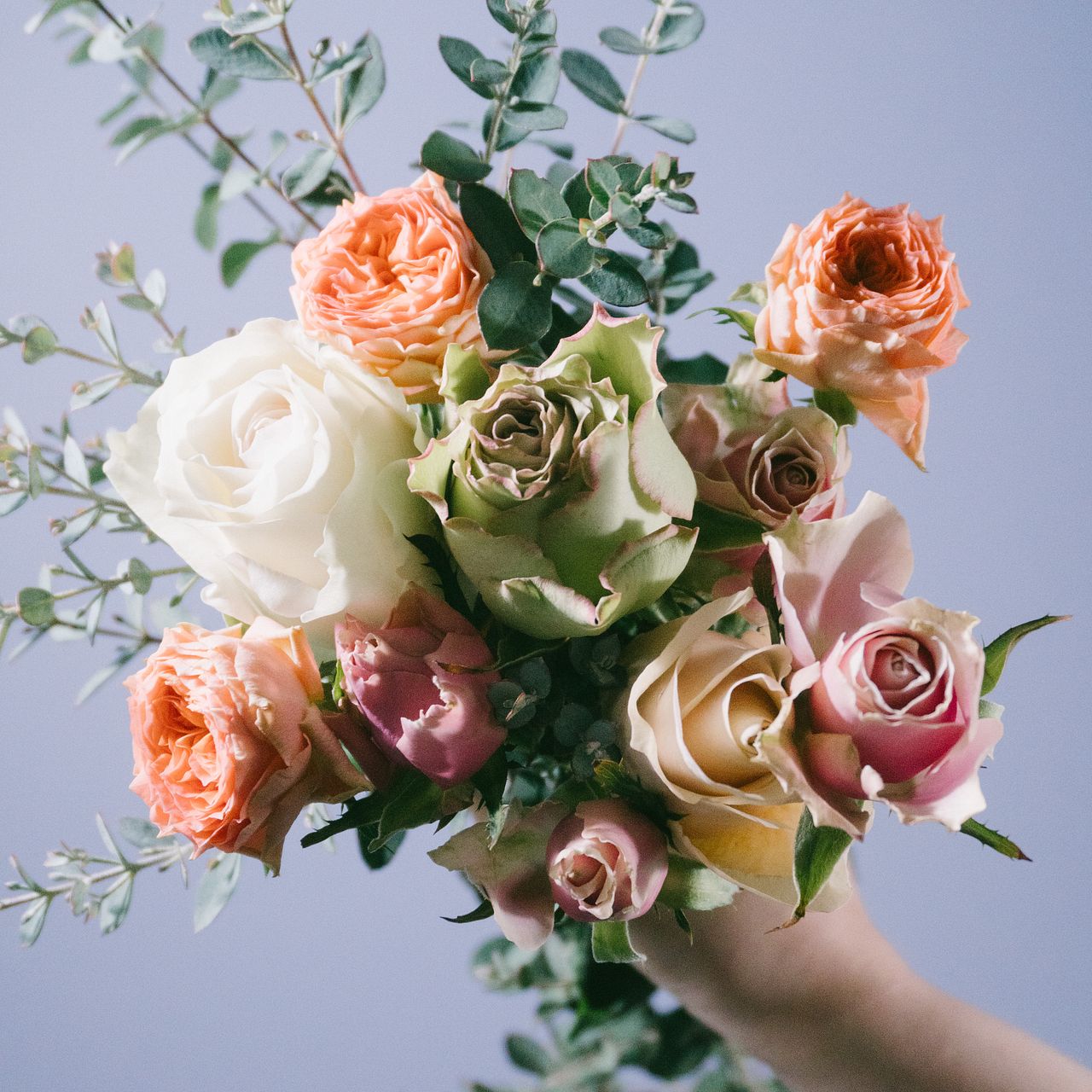 希少品種ローズを集めて