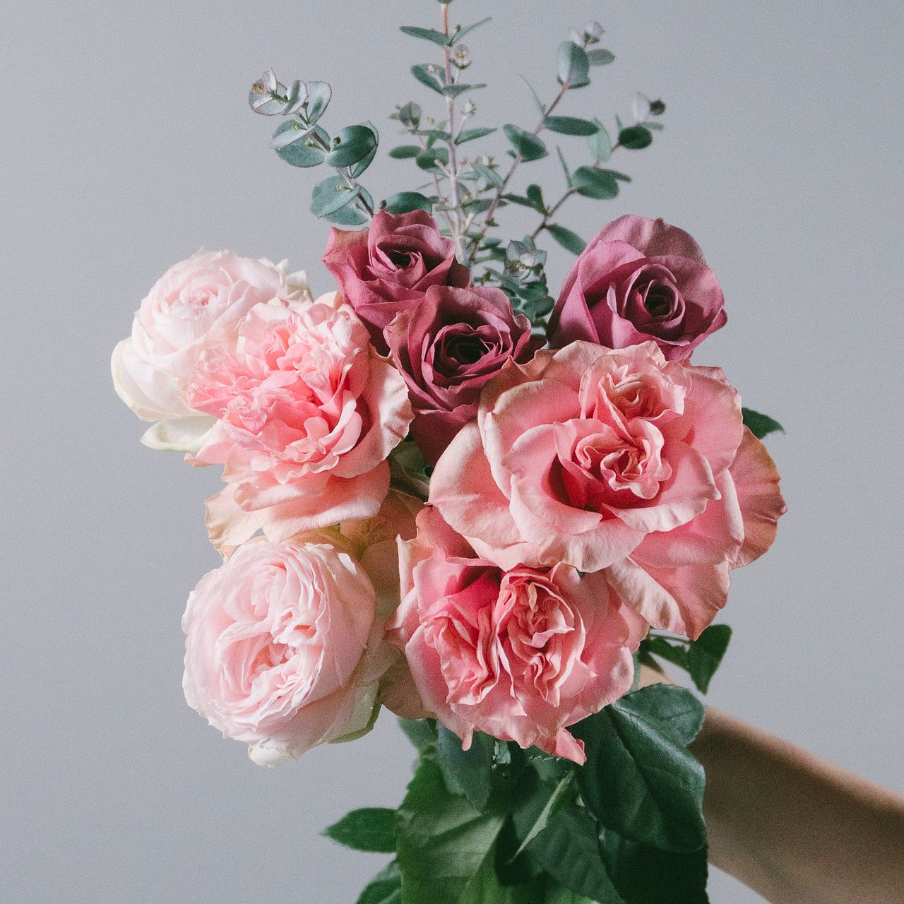 くしゅくしゅ個性派ローズたち