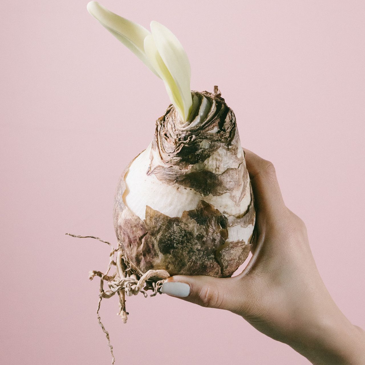 large_60e24612-f2b7-4753-bcb8-