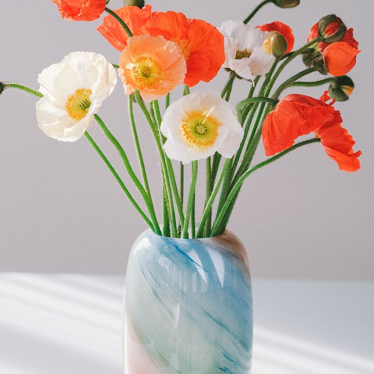 たっぷり！気まぐれポピー