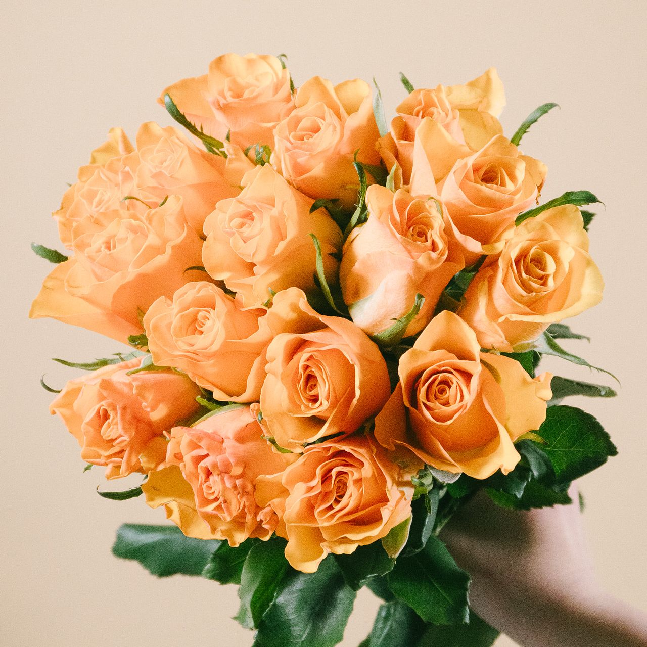 2019topps gypsy queen バラ売り可 2019topps gypsy queen バラ売り可 2019topps gypsy queen バラ売り可