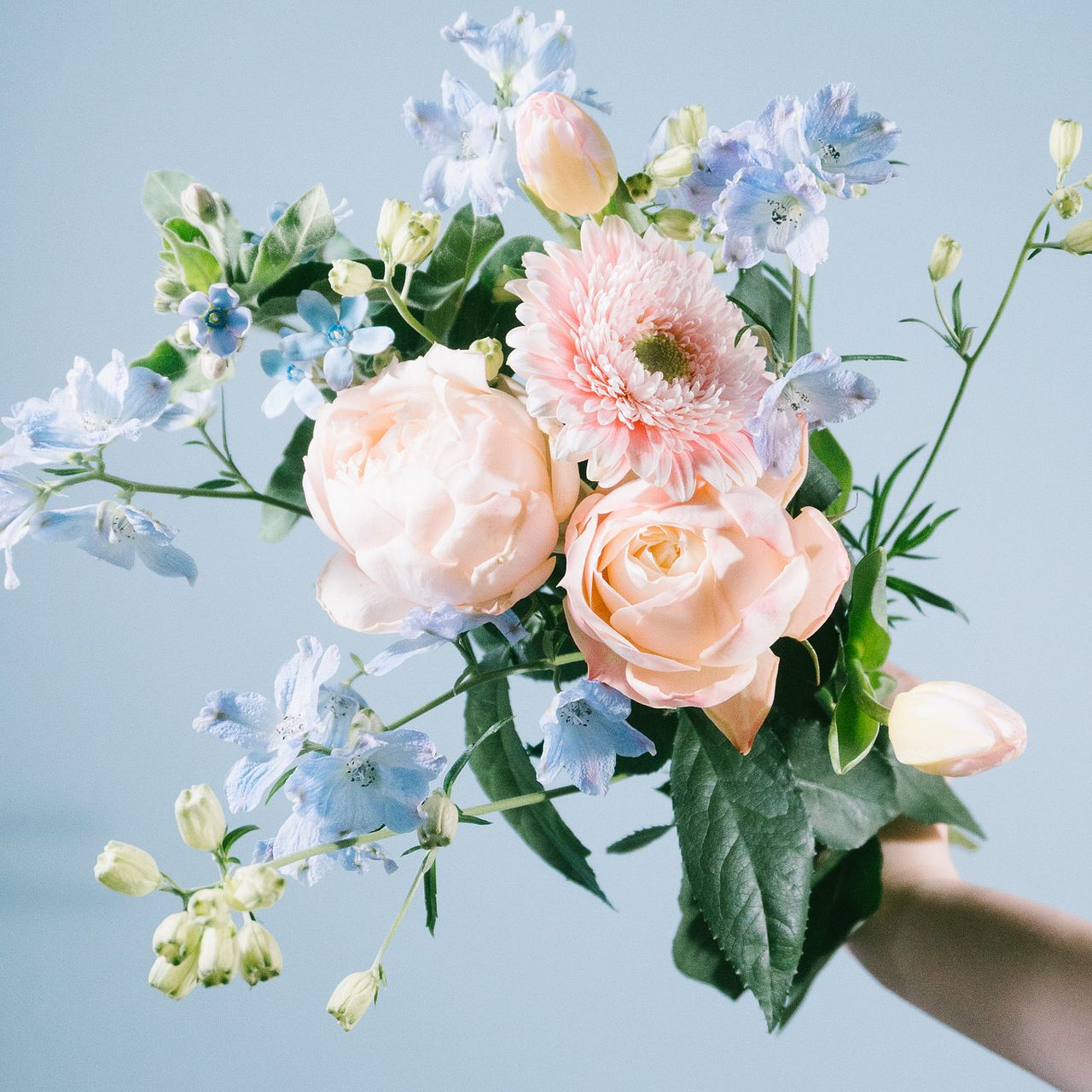 幸せを運ぶイルカ