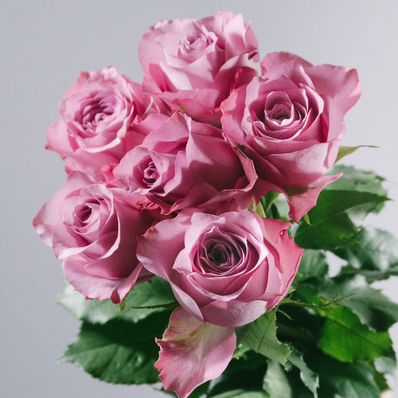 eh様限定エドルカラー　バラ売り◯1本当たり390円 バラ「Whatever」