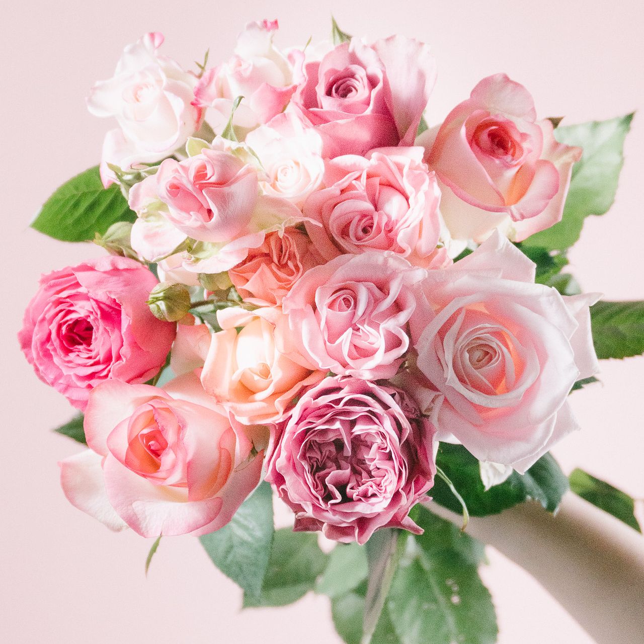 ピンクアソート「ローズ」