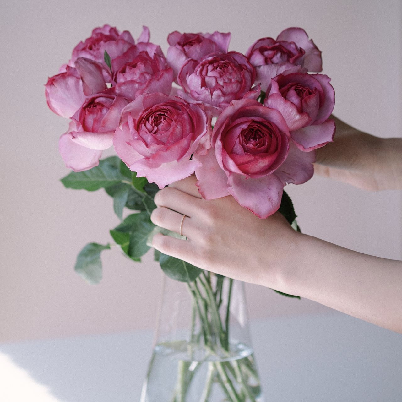 large_7db9fd88-015a-4e9d-8144-