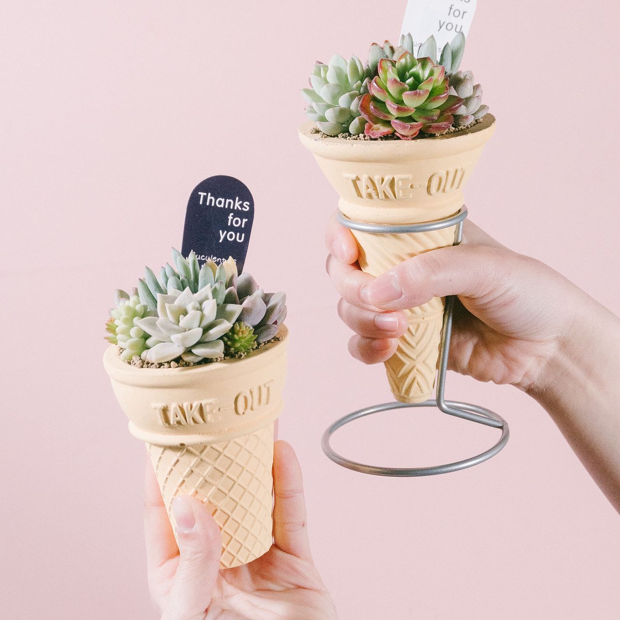 large_ae3f6886-93a0-46a2-84f2-