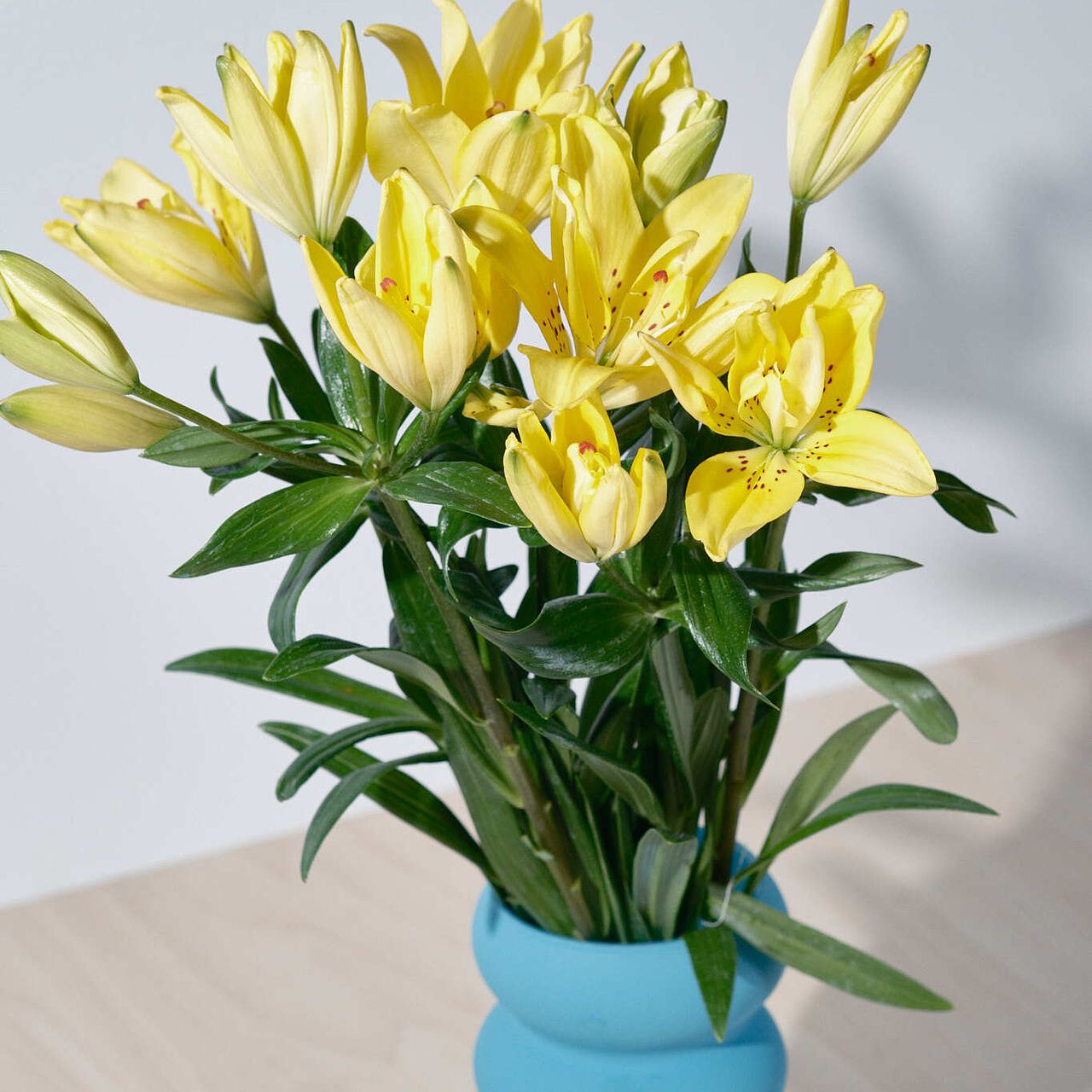 産直】今井ゆり園の「Lemon Lily」