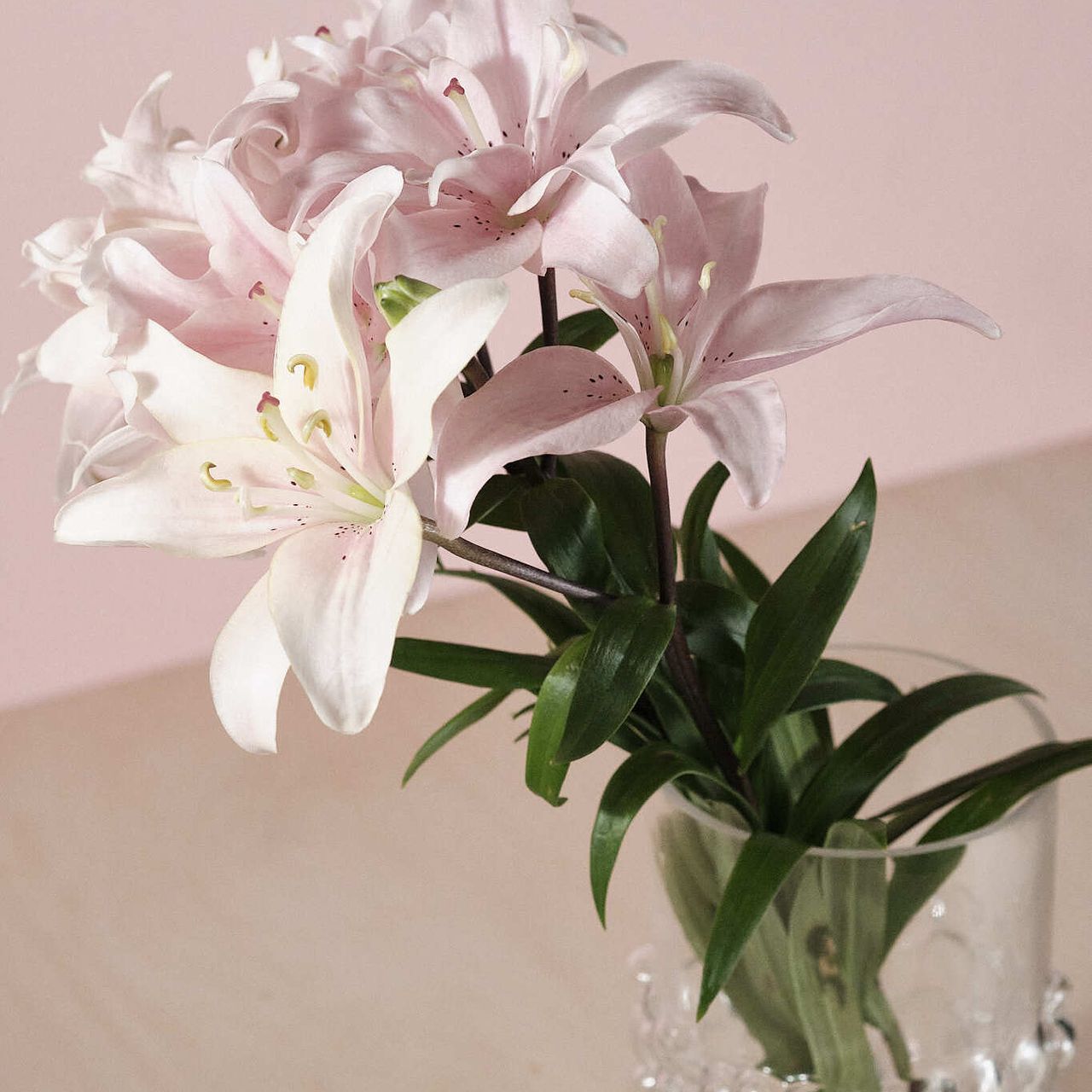 みみ　水彩画　オガワコマドリと百合の花　値段は600円です みみ 水彩画 オガワコマドリと百合の花 値段は600円です みみ 水彩画