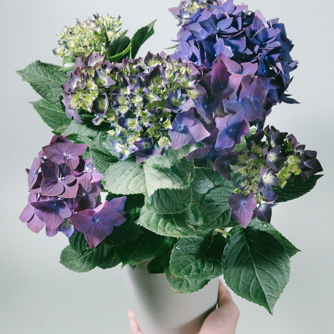 large_e9667a92-3cf8-418b-a0cb-