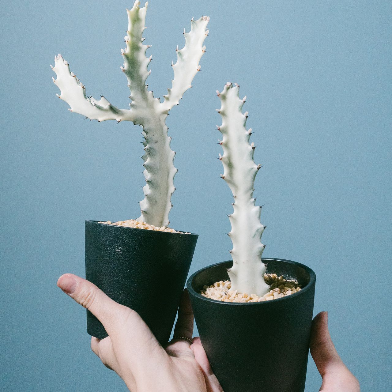 large_565c2bcf-2d01-4f56-b196-