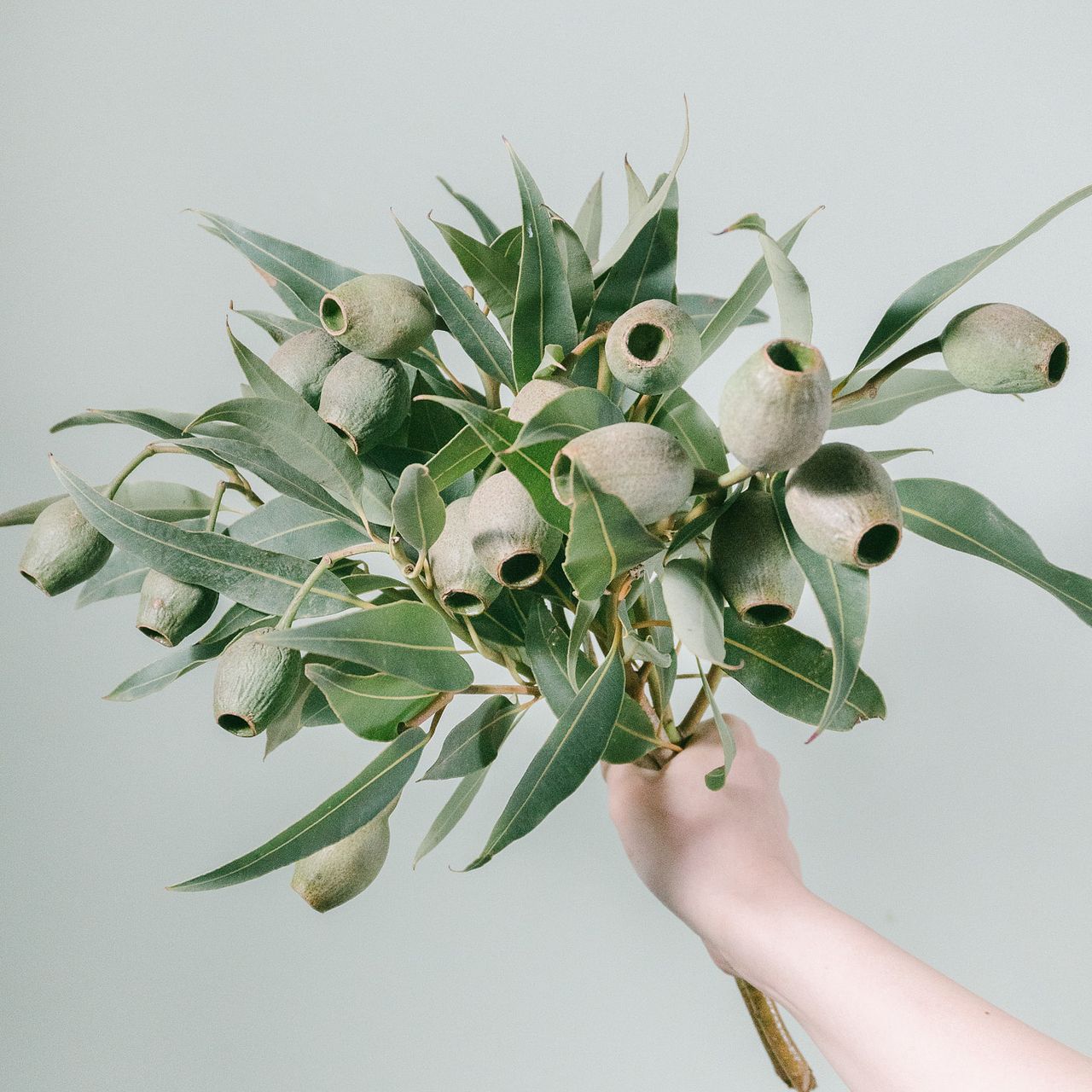 ブラウンcottonとベルガムナッツのスワッグ