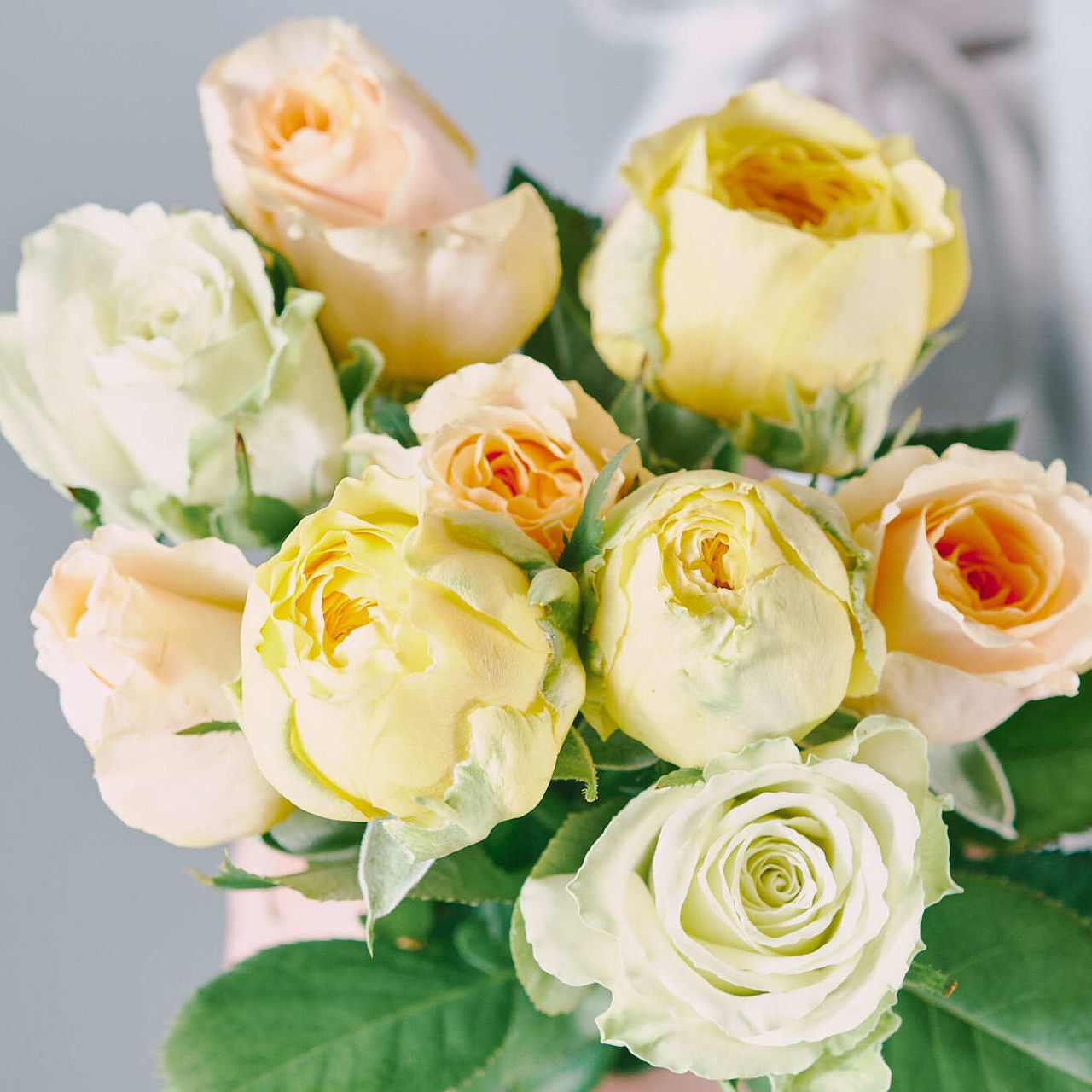 large_92cd81ca-32dc-4666-8263-