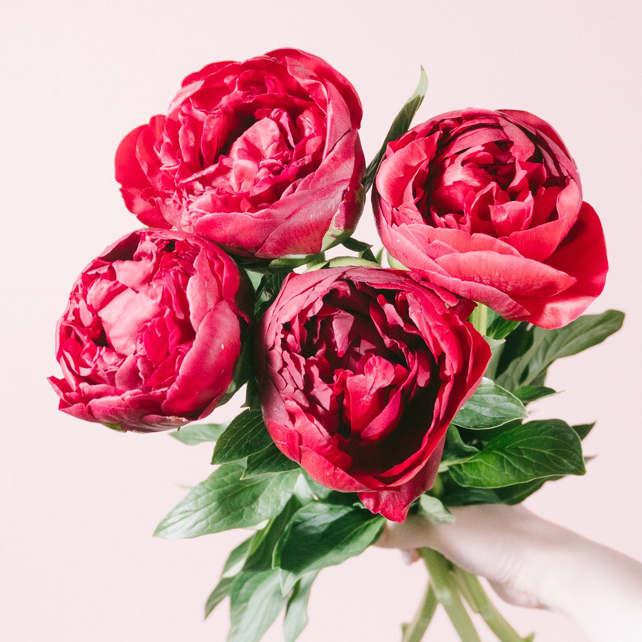 ☆Burgundy bouquet断捨離中ページ☆ 大きめ特大リース♪ ☆Burgundy bouquet断捨離中様専用ページです☆特大リース＆アレンジ
