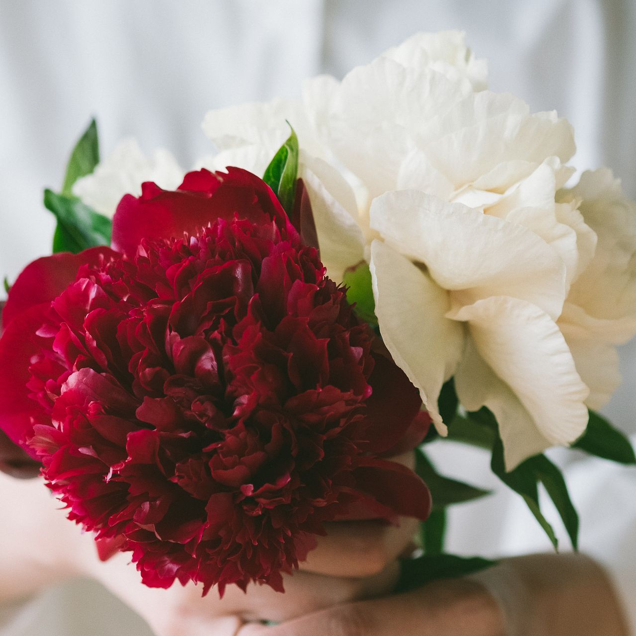 large_0782915a-708a-4266-b814-