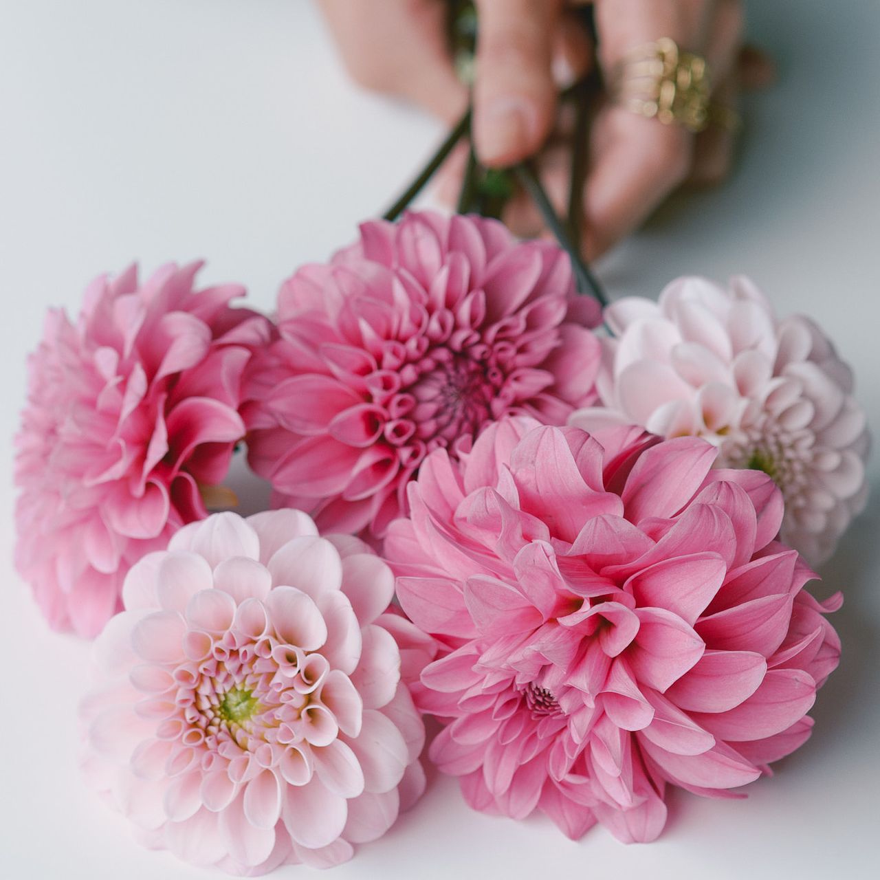 large_a866377b-60ee-4561-a0f8-