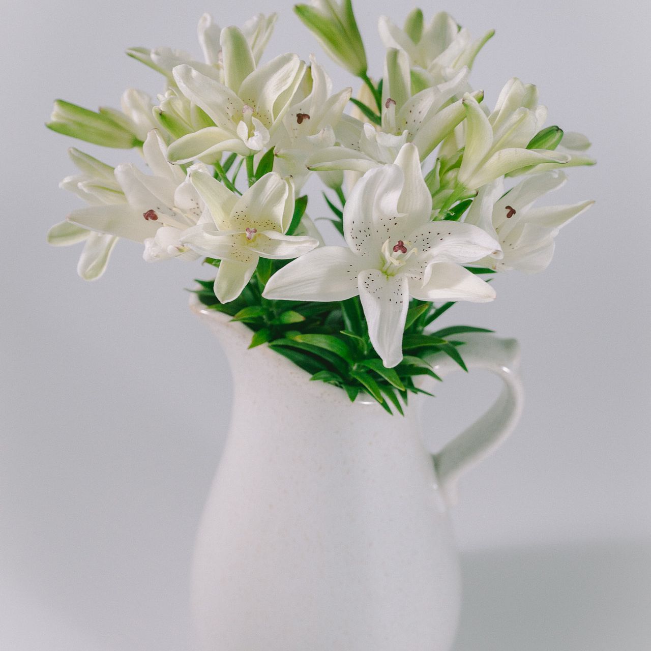 産直】今井ゆり園のフェアリーリリー