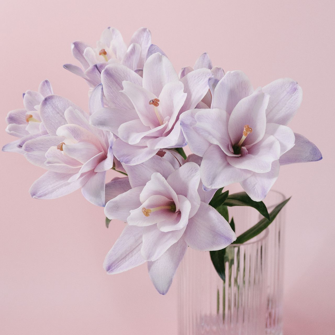 ゆりりん　ページ ゆりりん┃フリースタイルおかん (@yuririn24posi.mama