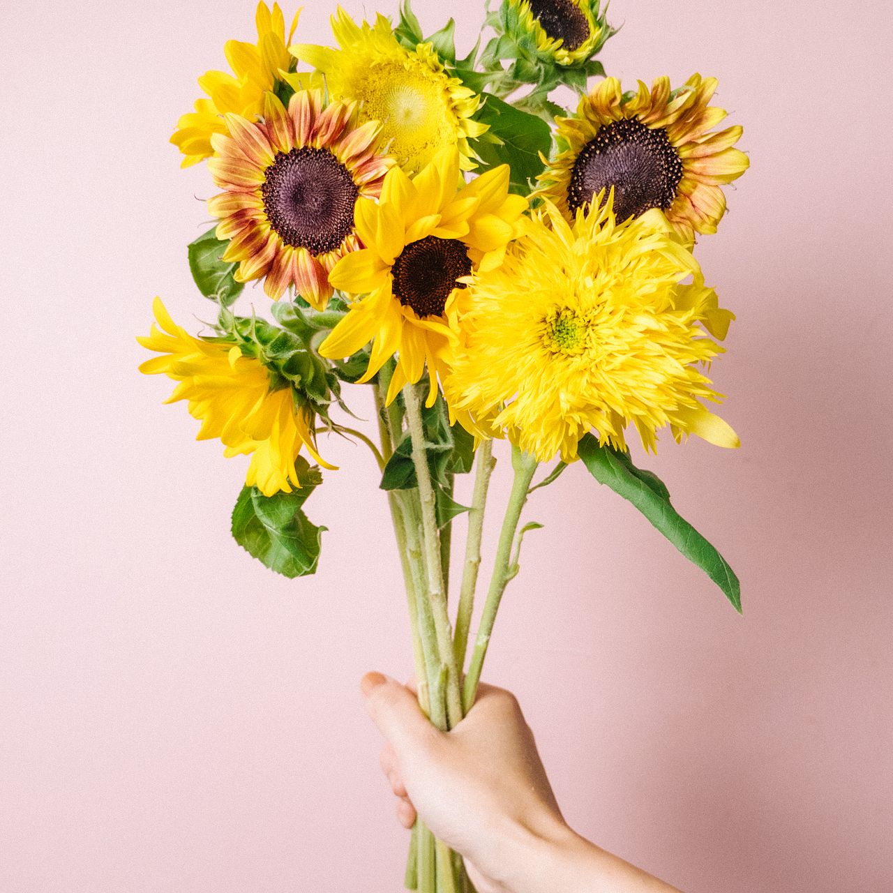 ひまわり畑から