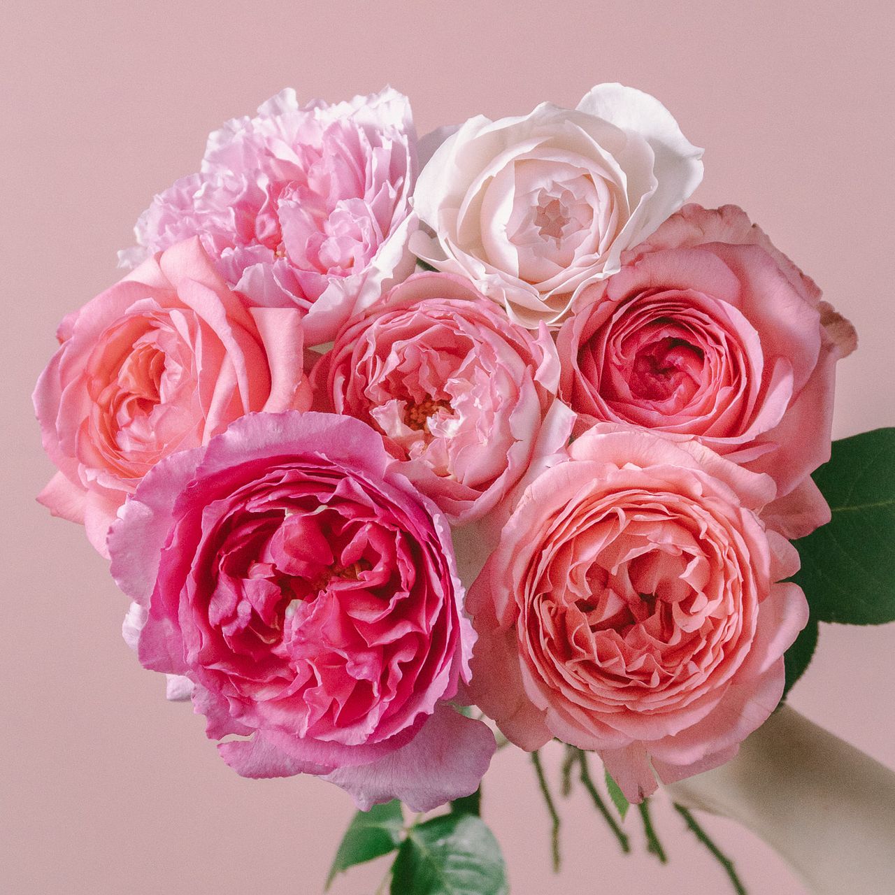 large_00909590-9846-4a41-b803-