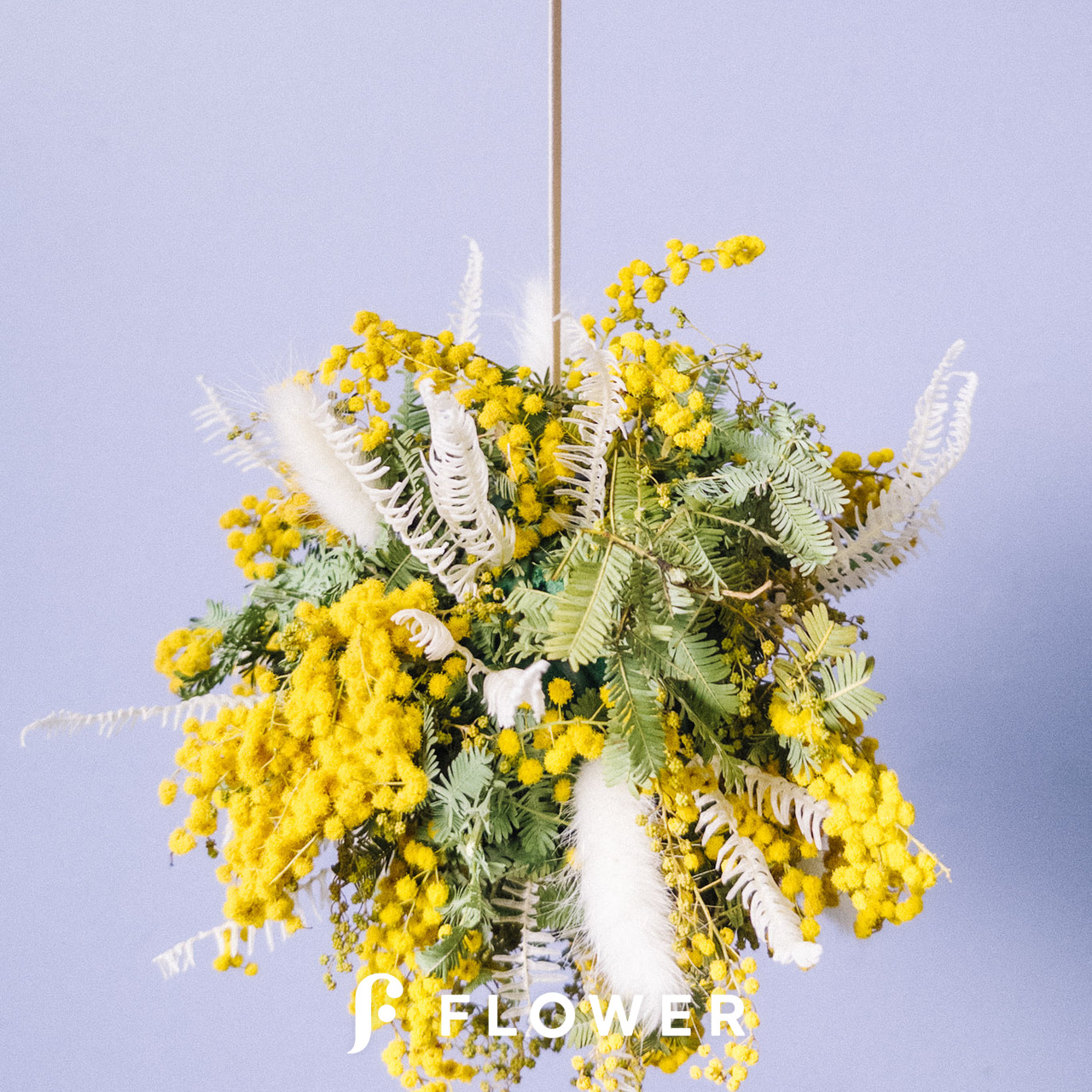 ミモザリース　ミモザフライングリース　ミモザスワッグ　ミモザボール　ボールリース 春のミモザとグリーンのナチュラルなフライングボール＊ドライフラワー